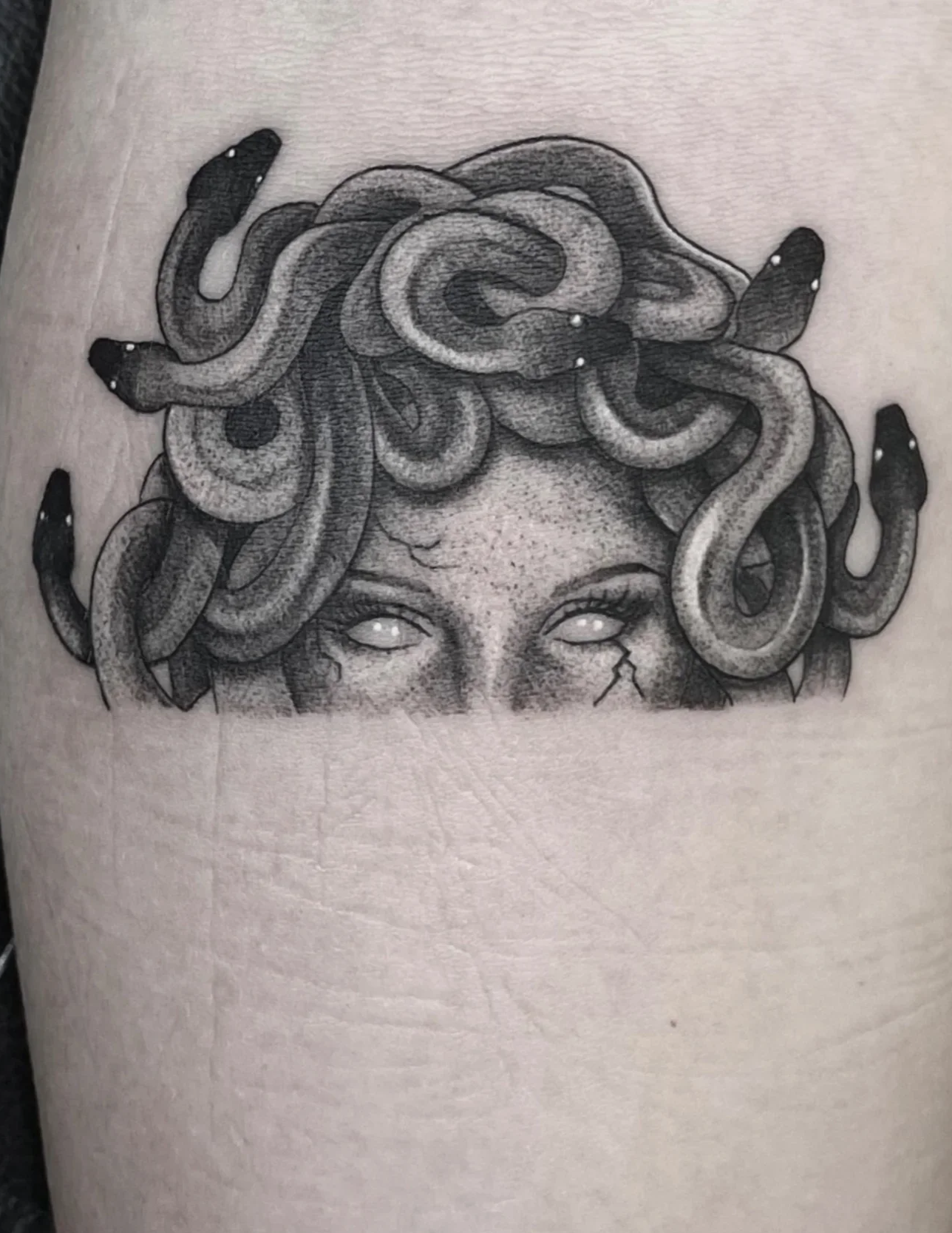 Medusa , forearm · 1 session · [blackgrey] [palmsized]