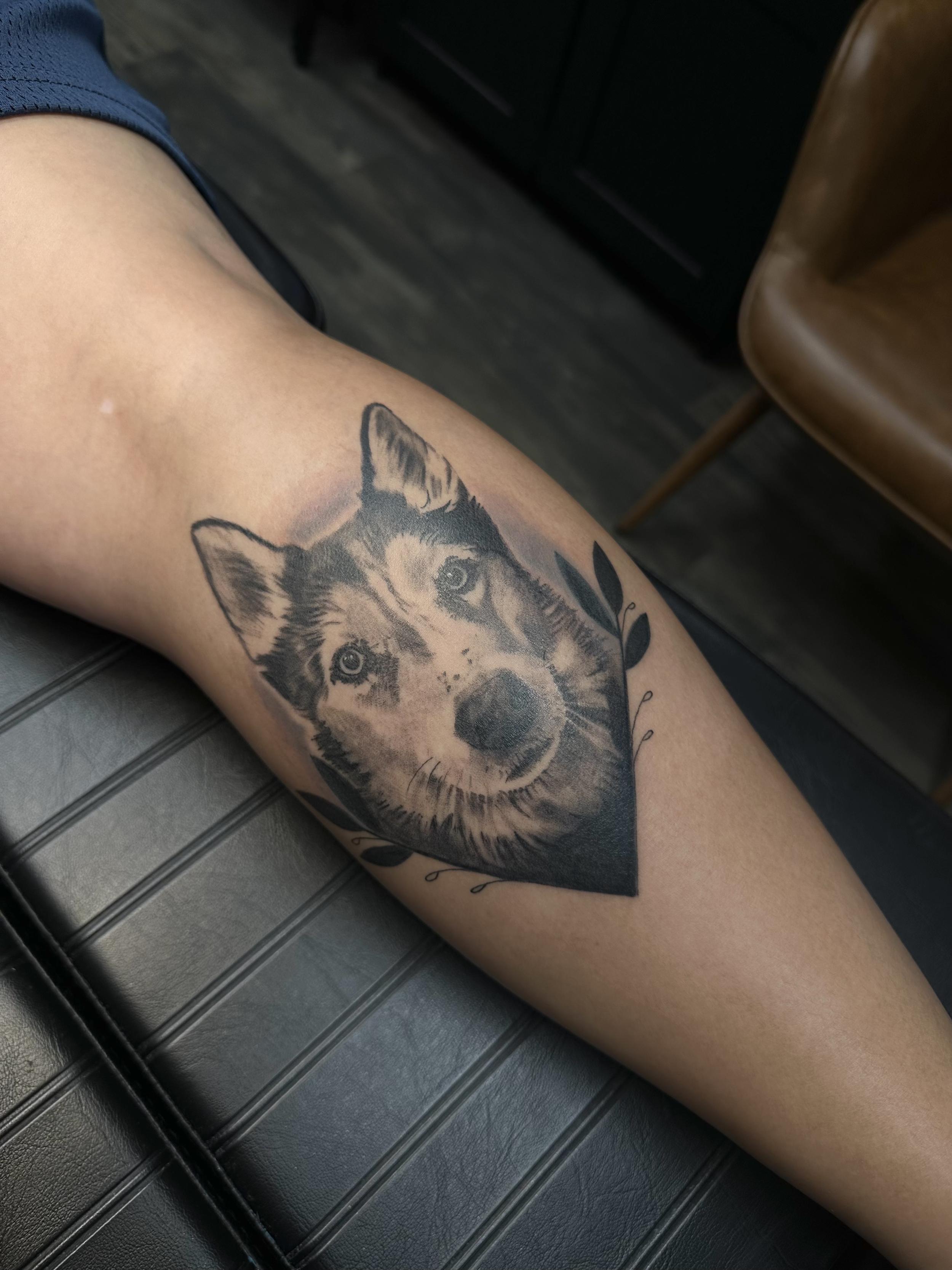 puppy portrait, calf· Healed except for background, 1 session · [blackgrey] [handsized] [healed]