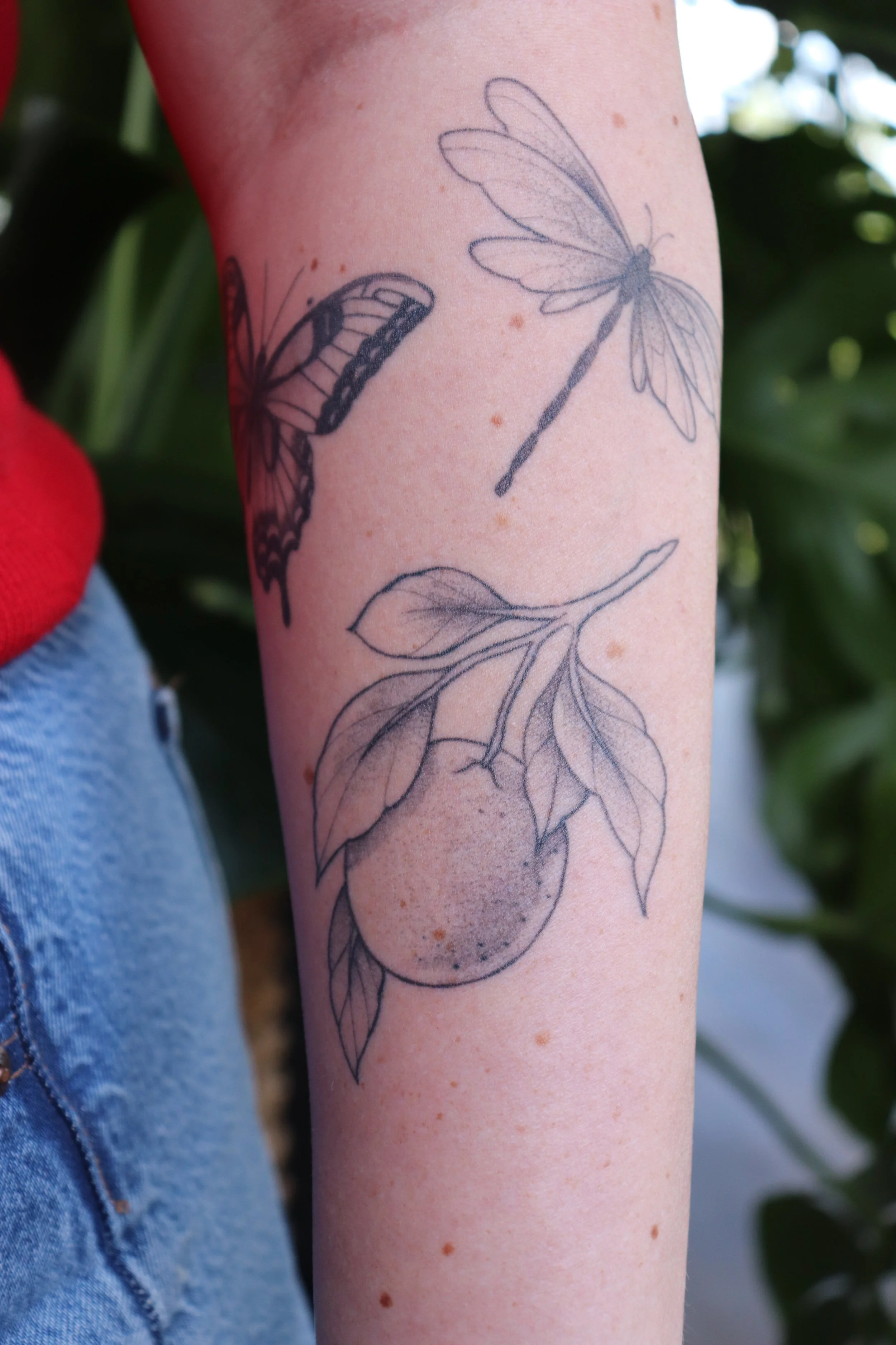 peach , forearm· 1 sessions · [fineline] [palmsized] [healed]