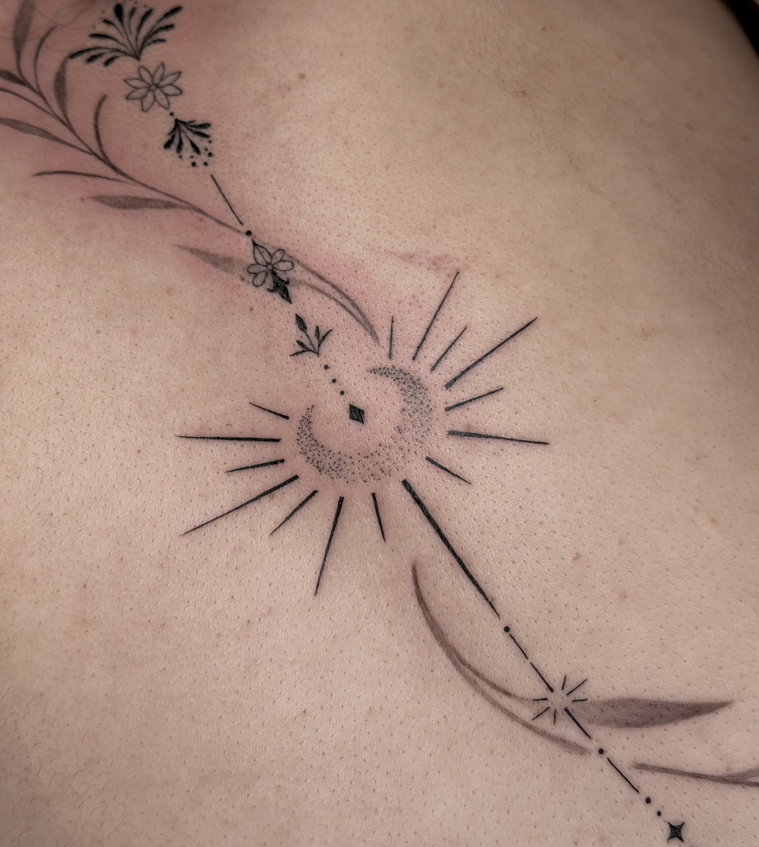 celestial ornamental , spine · 1 session · [fineline] [Large]