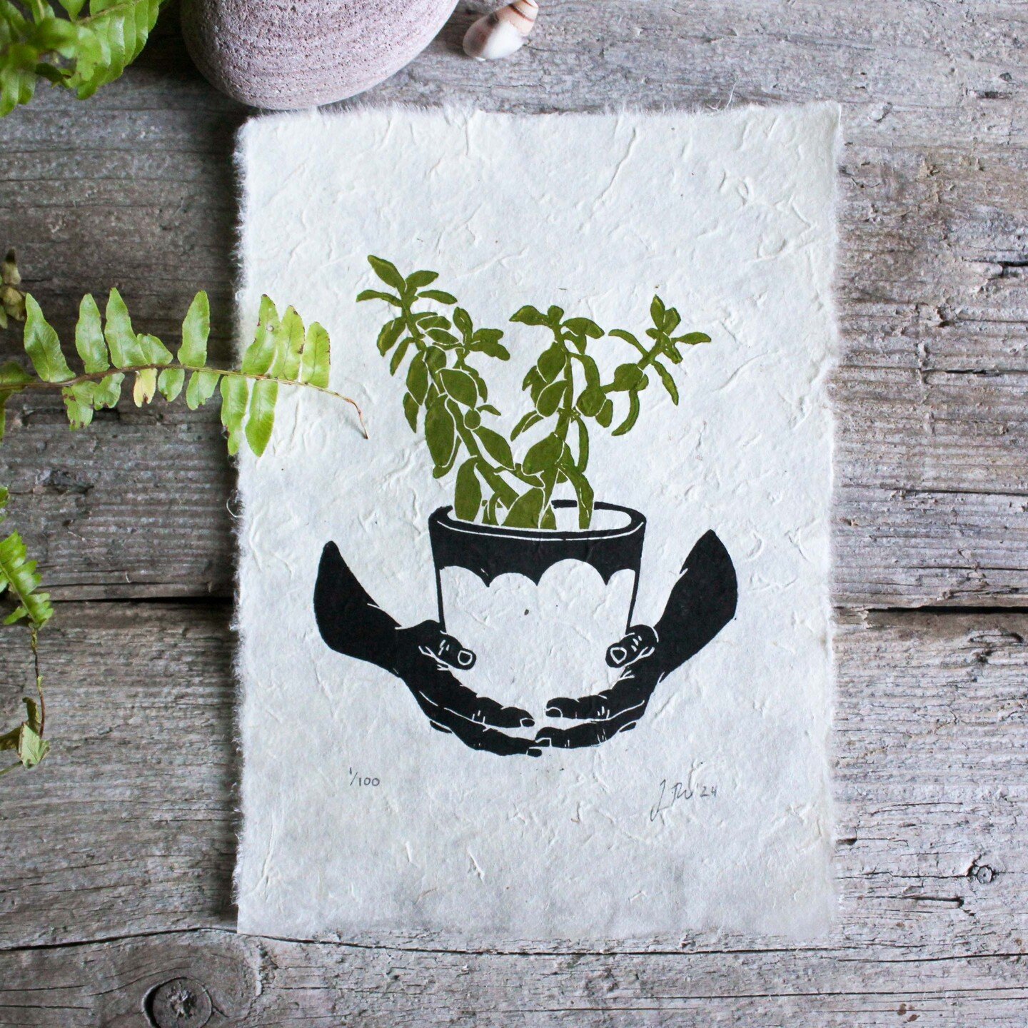 The third print of my house plant series is now available on my Etsy shop too. 
.
.
.
.
.
.
.
#printmaker #linocutprint #linocut #linocutting #linocarving #printmakersofinstagram #irishhandmade #irishmade #reliefcarving #handcarvedstamp #reliefprinti
