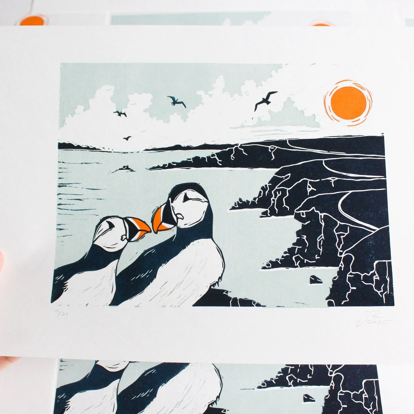 This is the third of my Irish sea bird linocut prints. All three prints are now up on my Etsy shop. 
.
.
.
.
.
.
#printmaker #linocutprint #linocut #linocutting #linocarving #linocutcards #irishhandmade #irishmade #reliefcarving #handcarvedstamp #rel