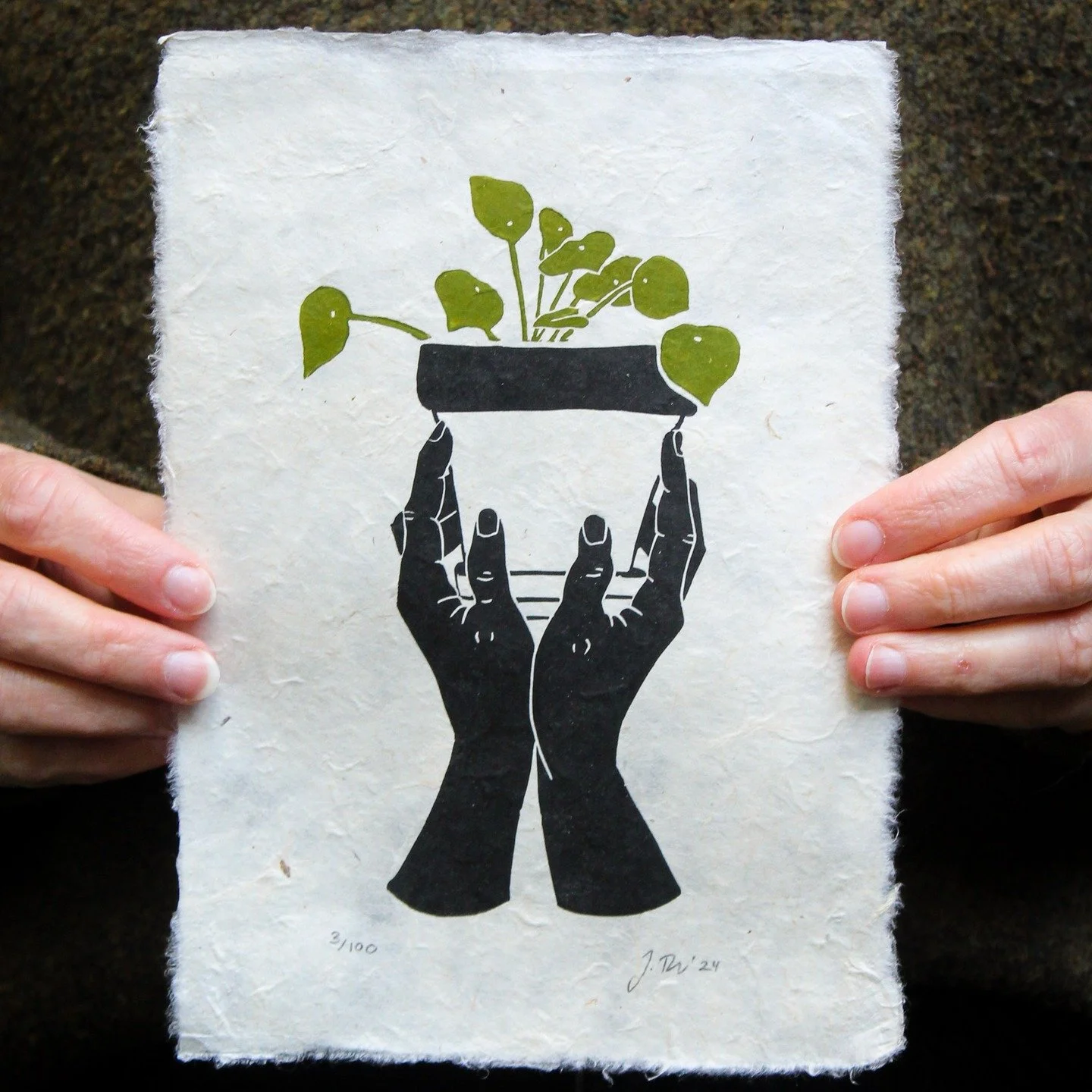 My house plant linocut series printed onto beautiful textured paper with a deckled edge. 
.
.
.
.
.
.
#linocutprint #linocarving #reliefcarving #reliefprinting #irishprintmaker #peopleofprint