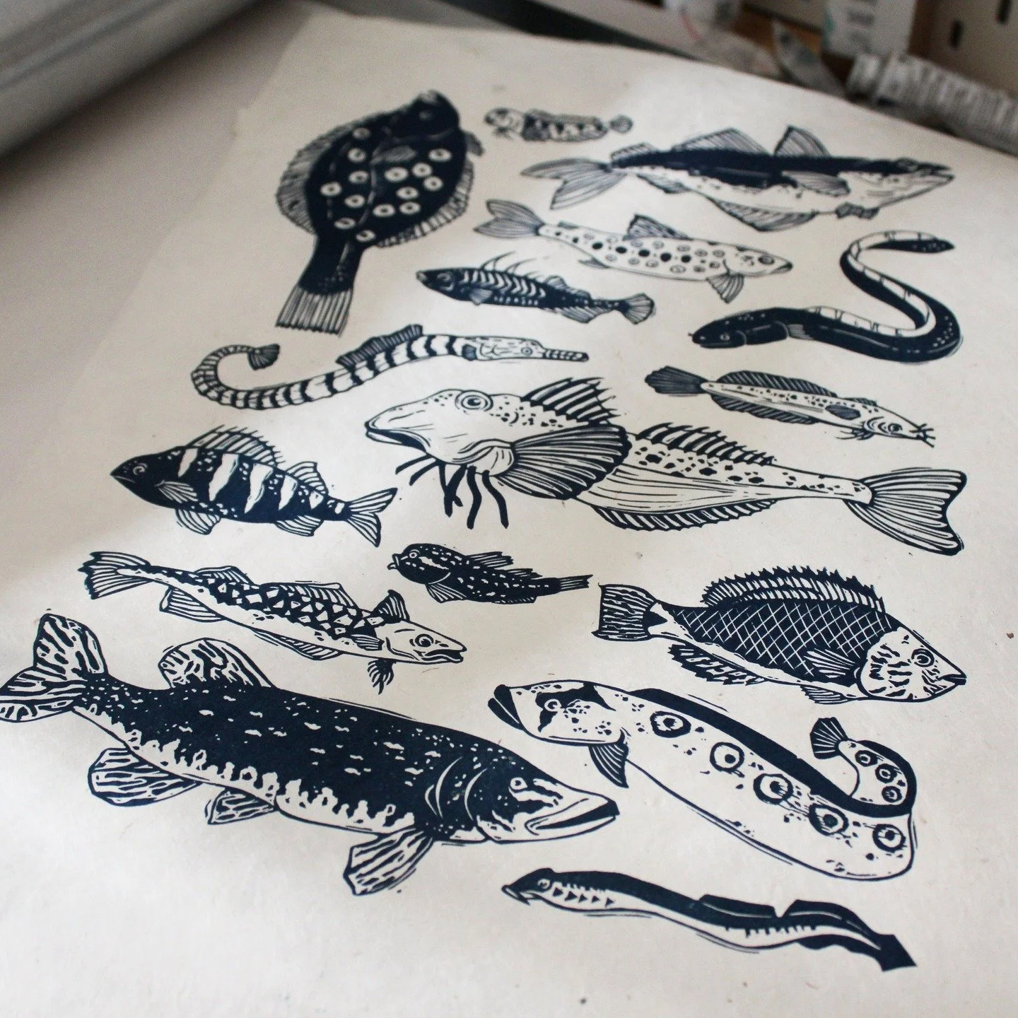 It's been a busy day of printing: I restocked my whale print and finally got around to print my new fish design. 
.
.
.
.
.
.
.
#printmaker #linocutprint #linocutting #linocarving #irishmade #reliefcarving #reliefprinting #irishprintmaker #peopleofpr