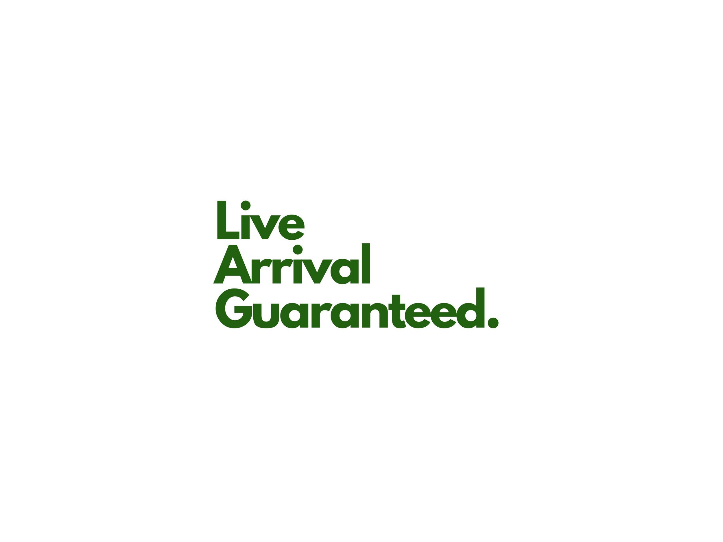 https://i.etsystatic.com/26526389/r/il/5dca36/4657926026/il_fullxfull.4657926026_qcid.jpg