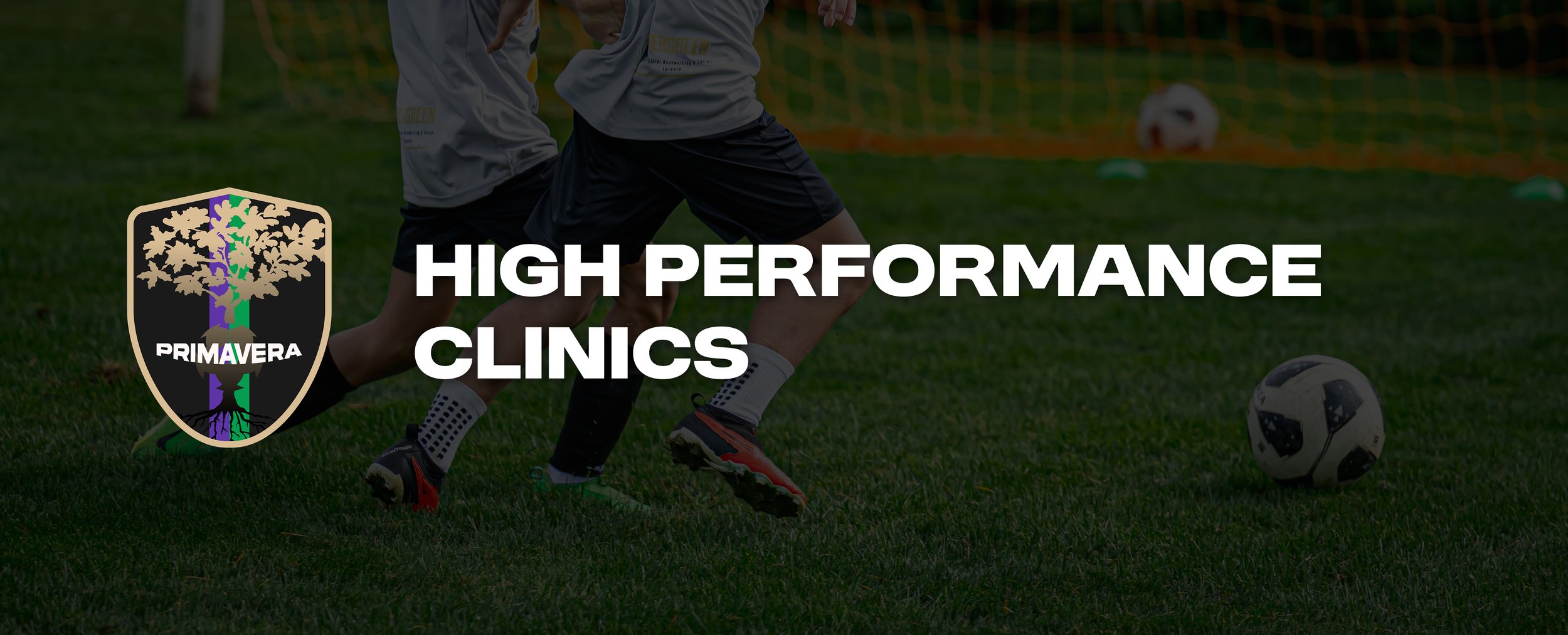 Banner High performance clinics.jpg