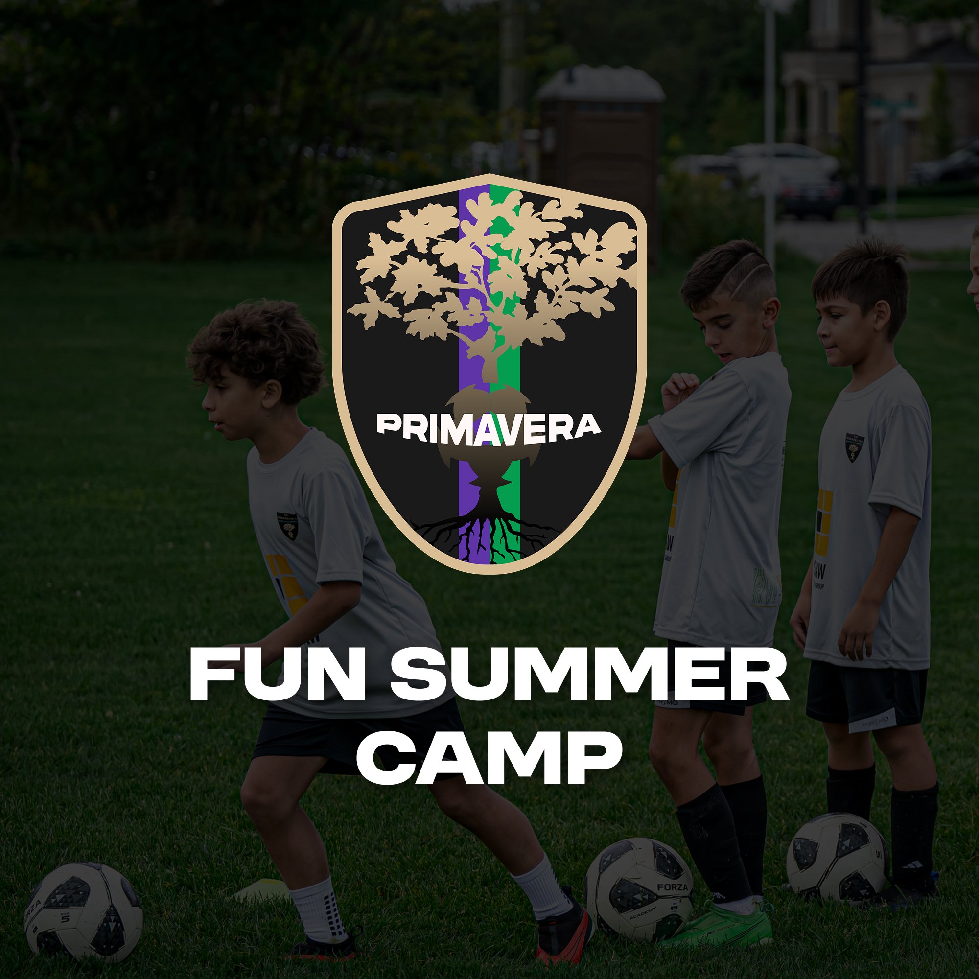 Card Fun Summer Camp.jpg