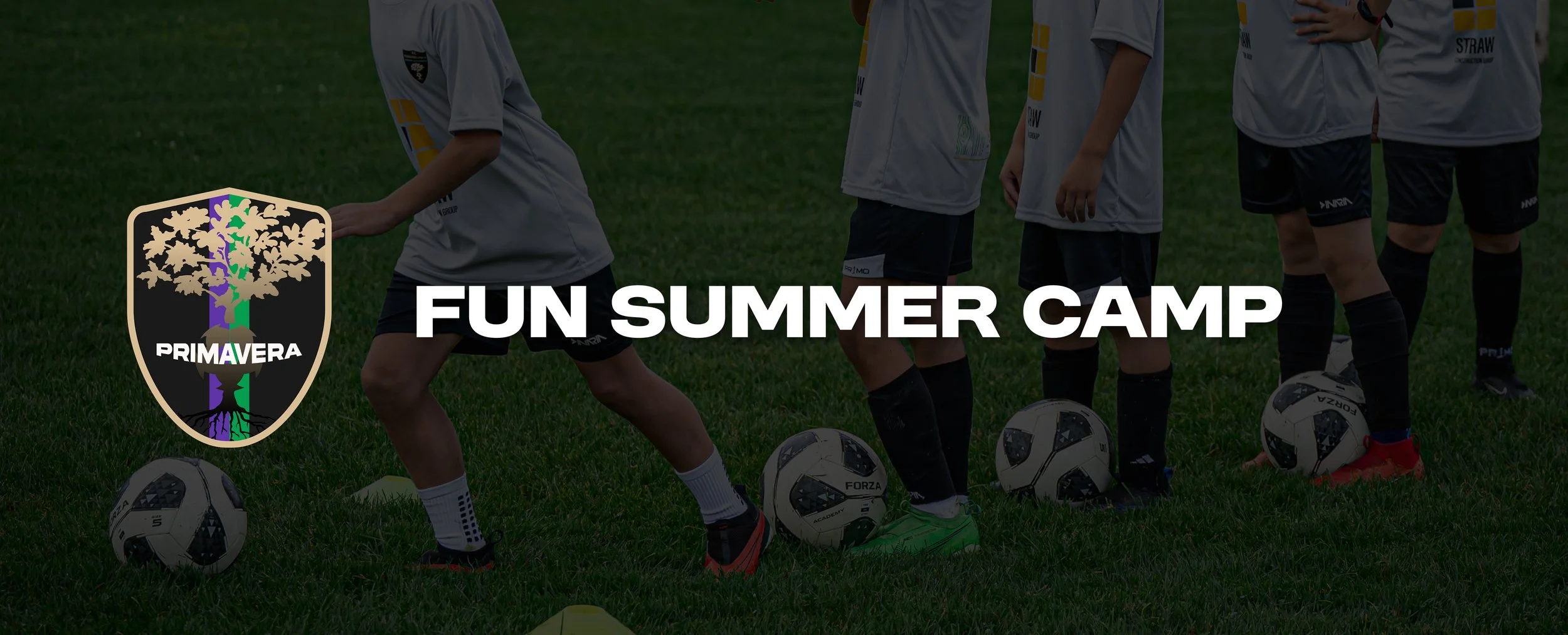 Banner Fun Summer Camp.jpg