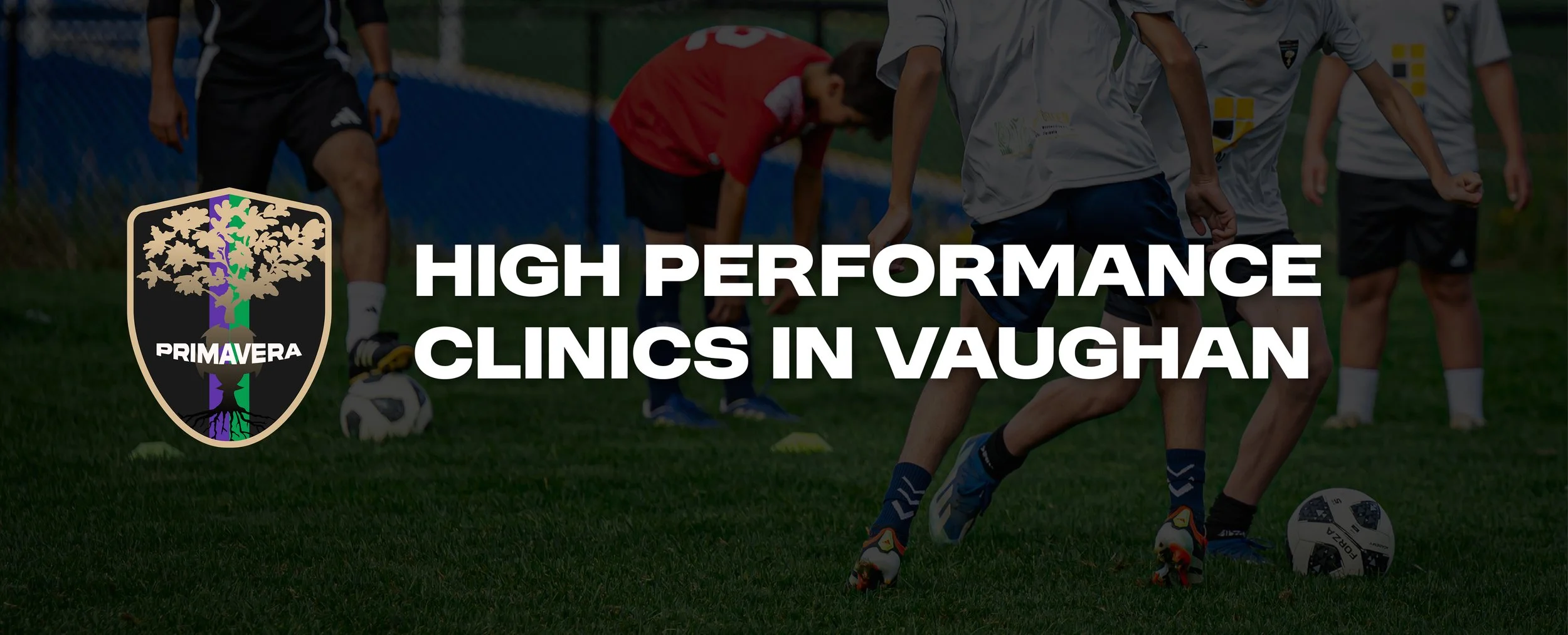 Banner high performance clinics in vaughan.jpg
