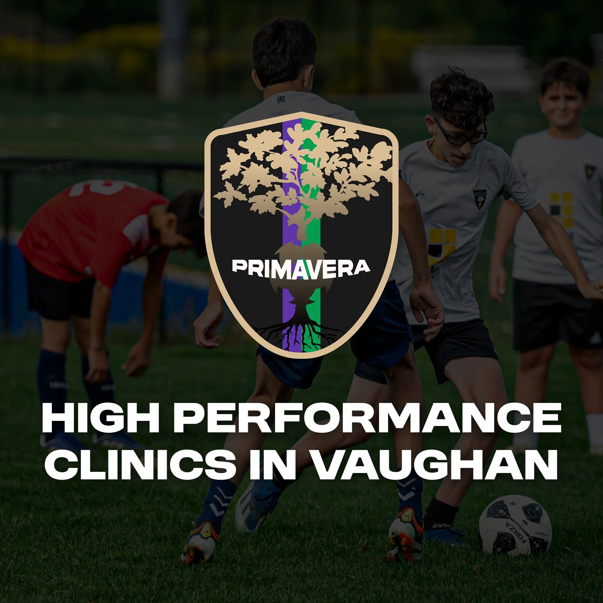 High Performance Clinic - Vaughan 2026