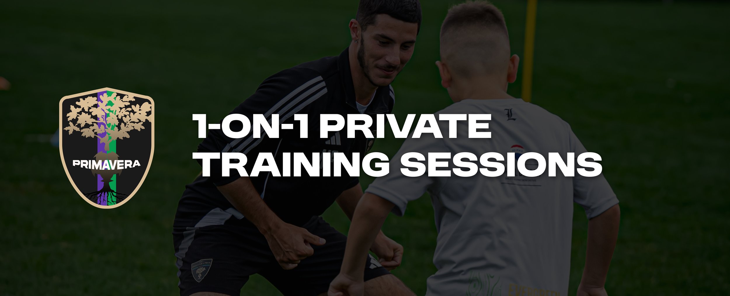 Banner 1-on-1 private training sessions.jpg