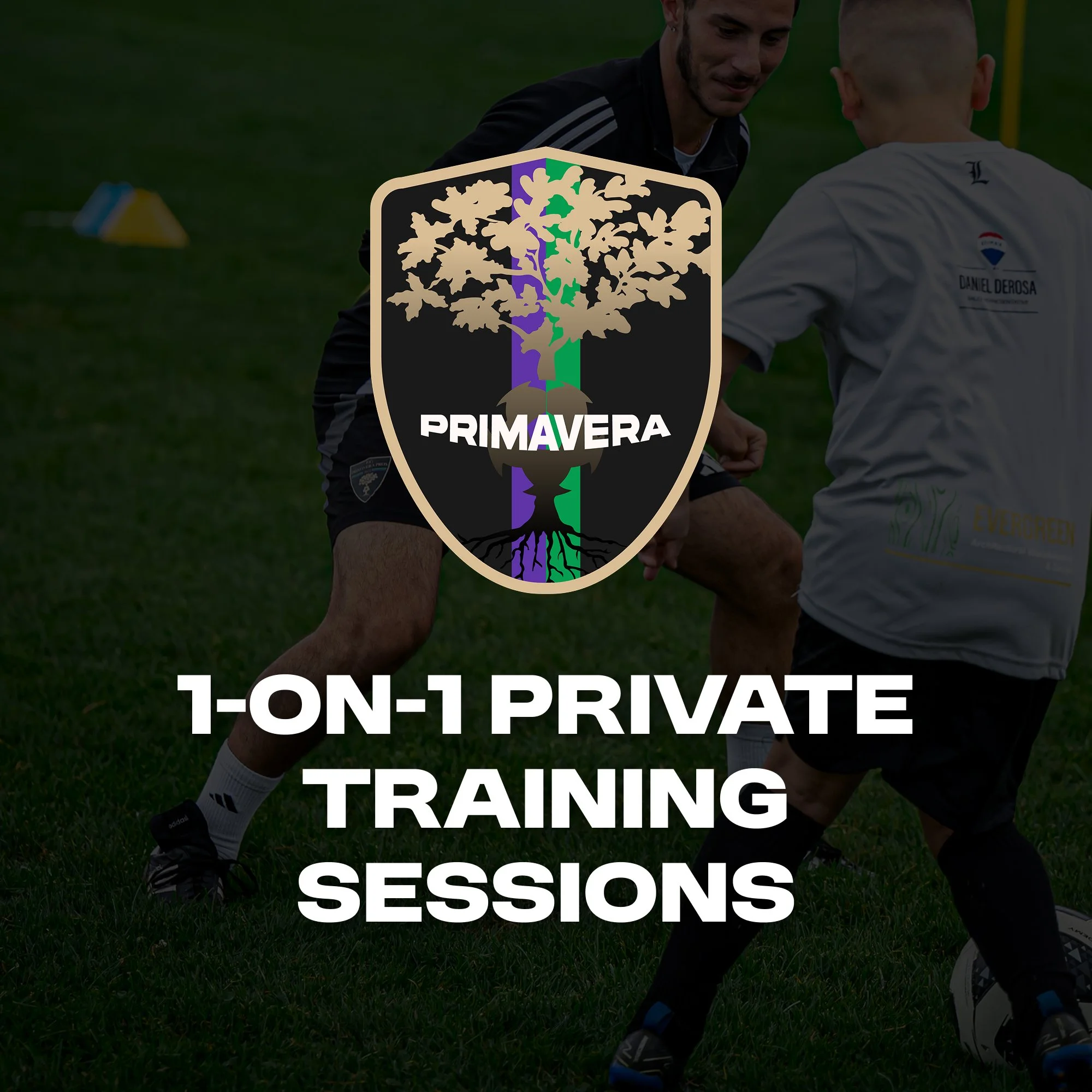 Card 1-on-1 private training sessions.jpg