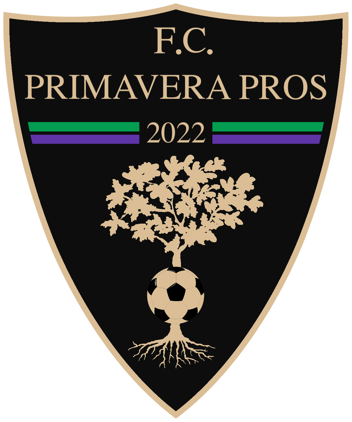Primavera Pros FC