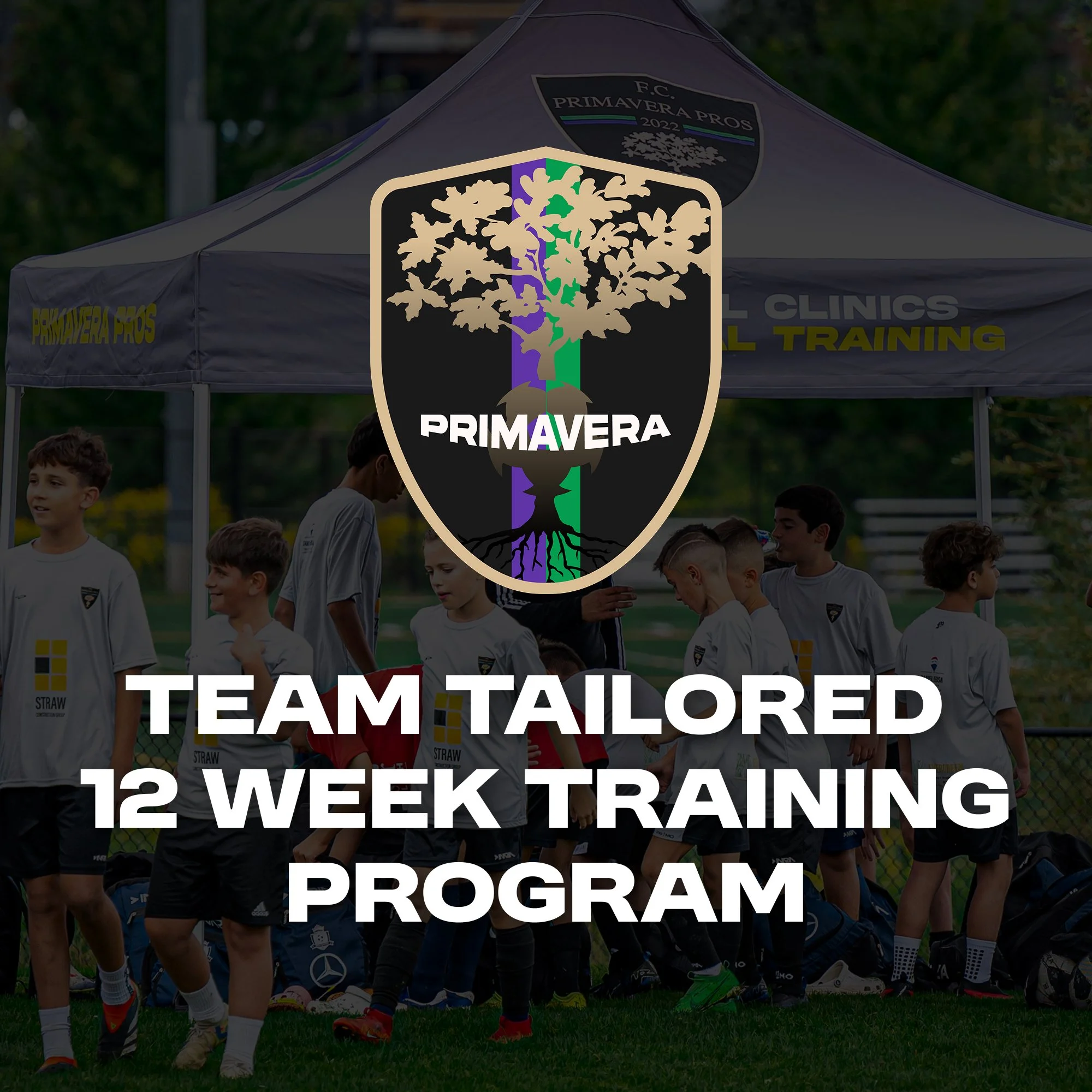 Team Tailored Sessions (12-Week Program, June-Sept)