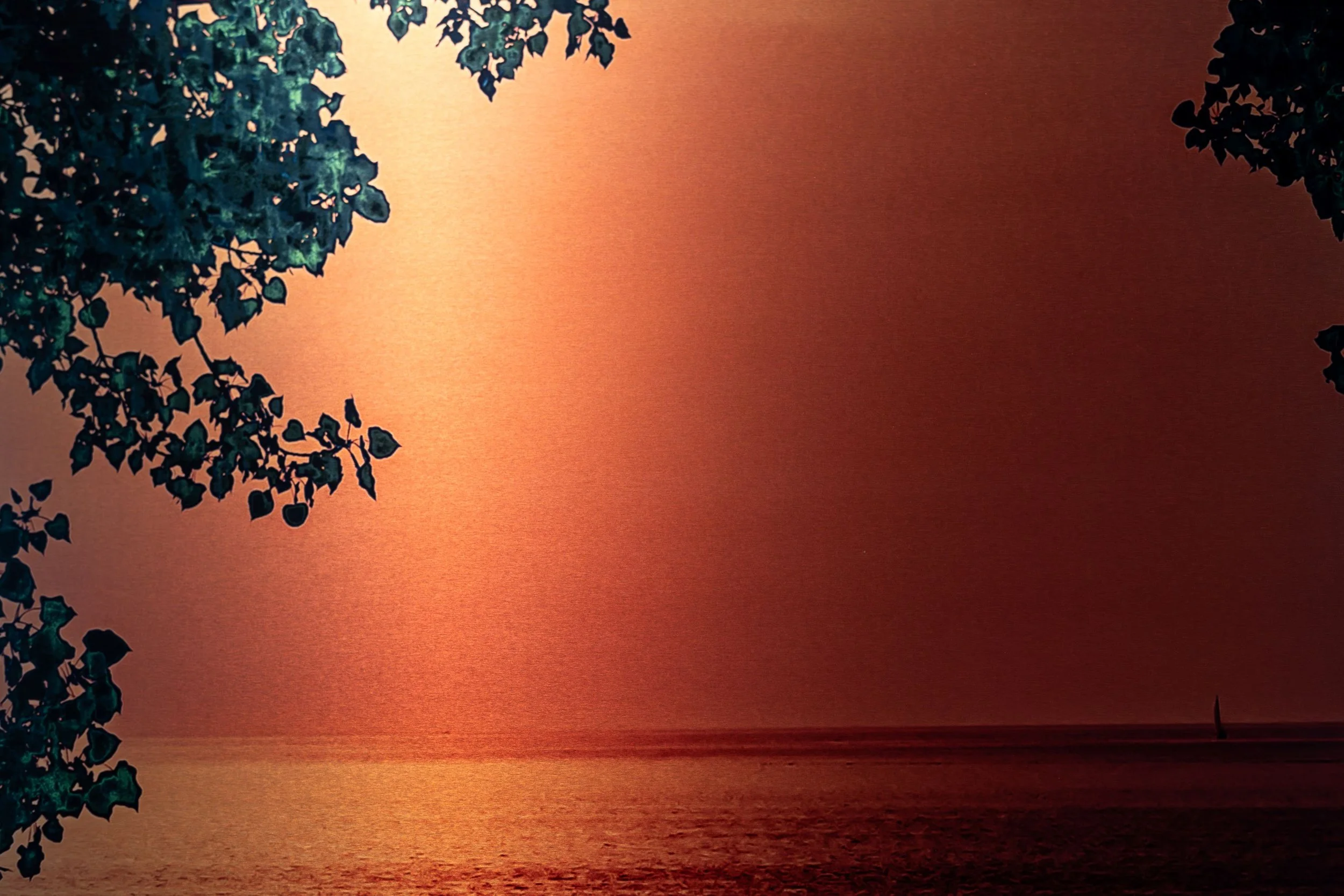 sunset farewell-4.jpg