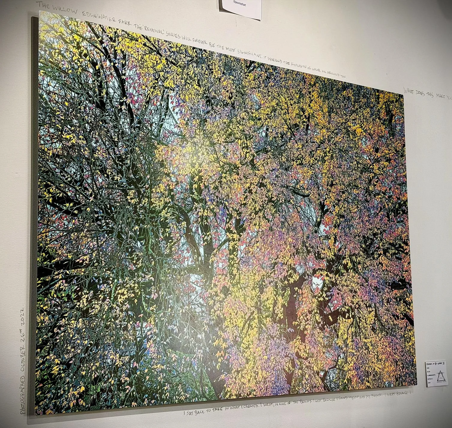 roms 2026 - willow tree- 40x30 -.jpg