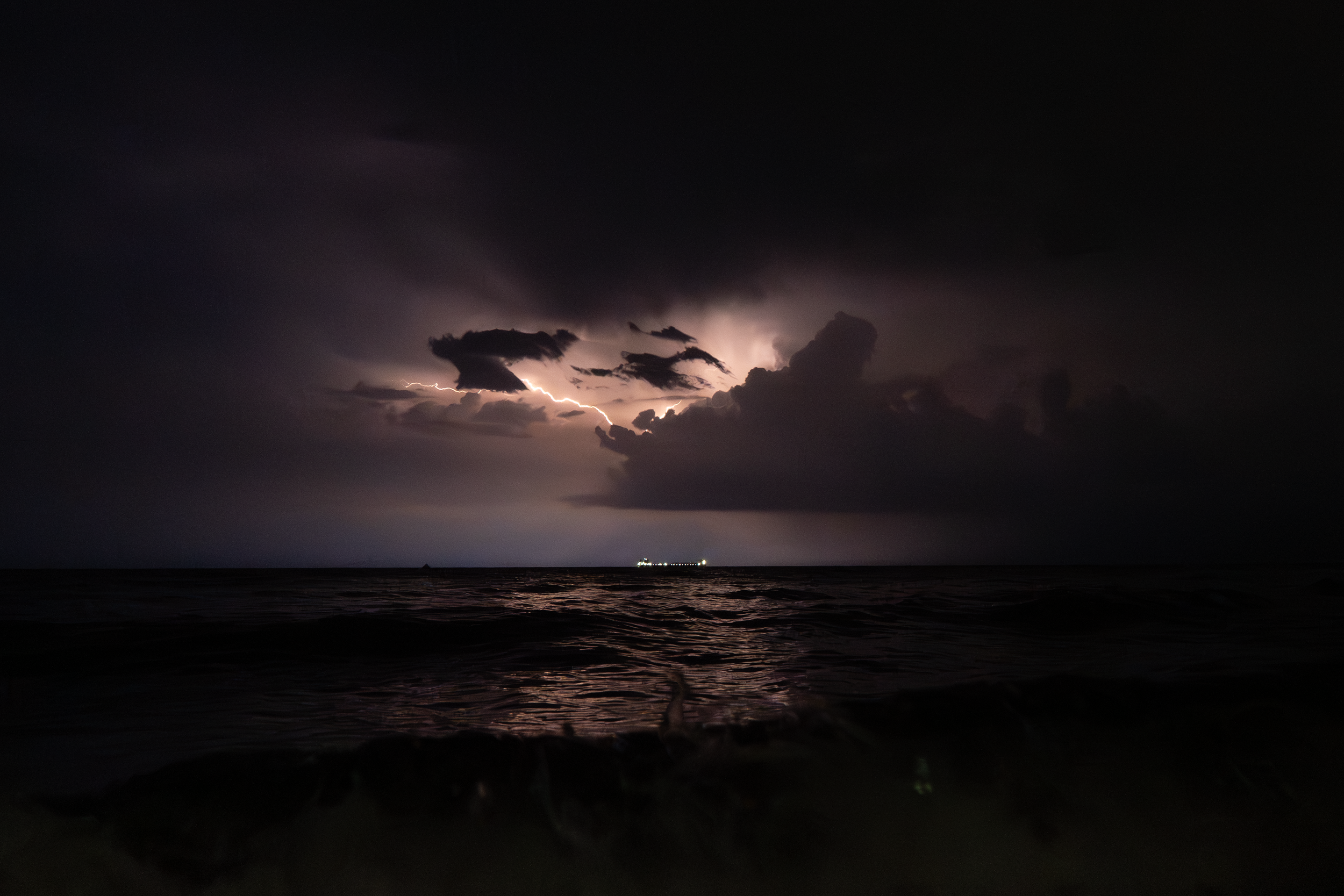 20260610-A7401348.png