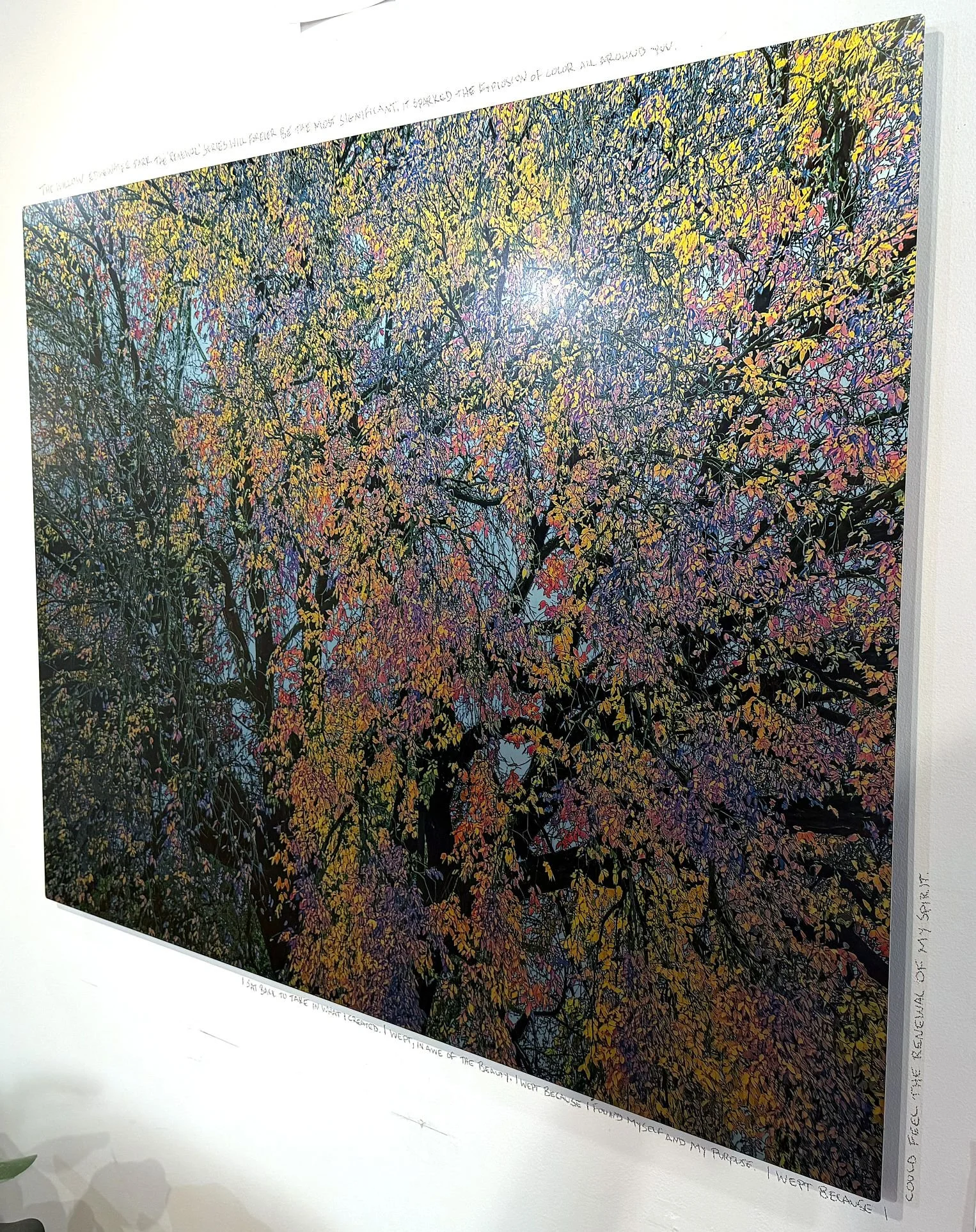 roms 2026 - willow tree- 40x30b -.jpg