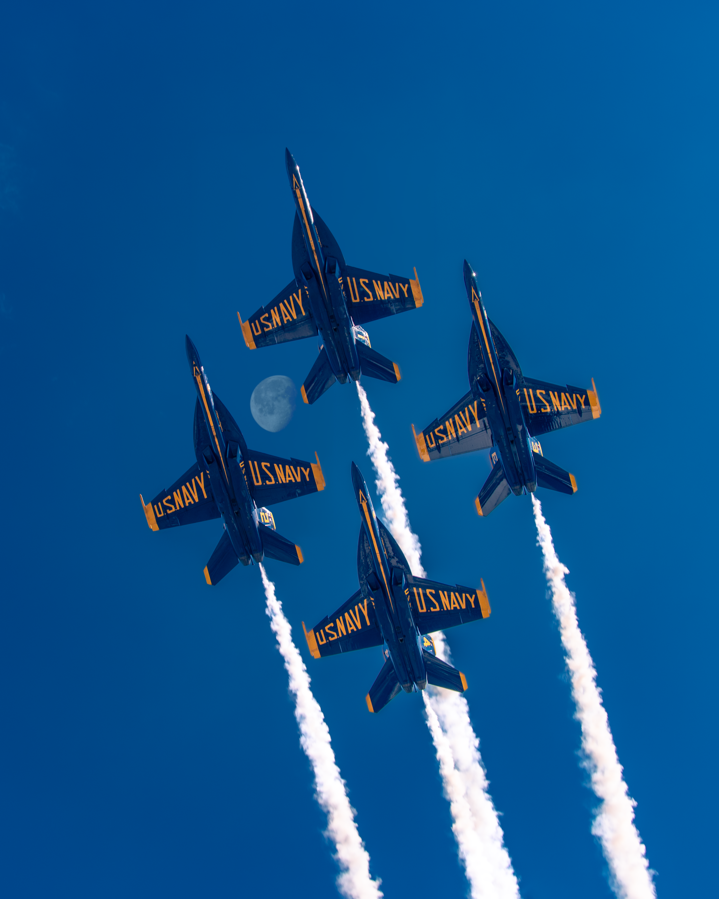 Moon in Formation
