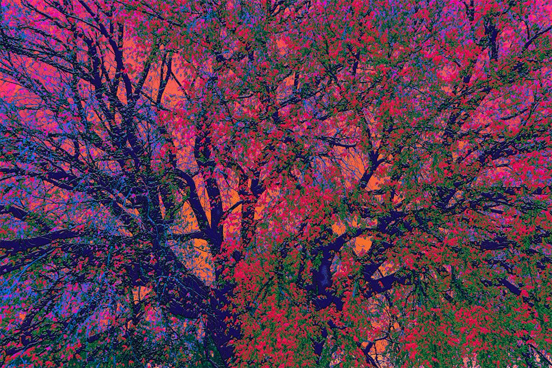 Renewal of My Spirit I (Remastered 2026)
