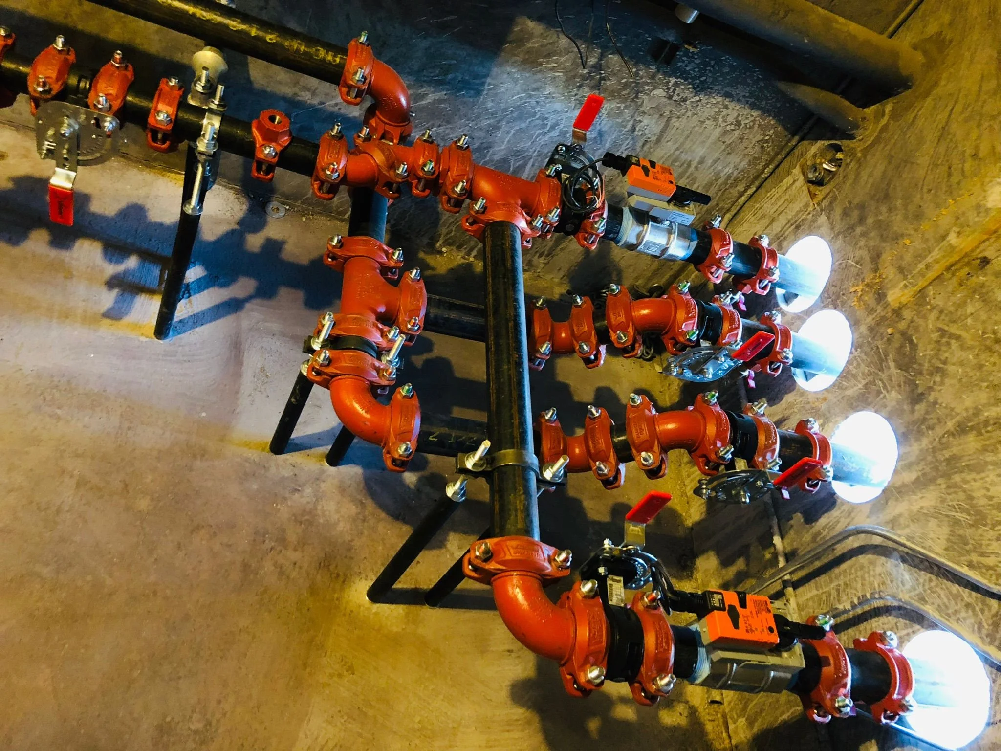 WhatsApp Image 2023-03-10 at 8.46.11 AM.jpeg