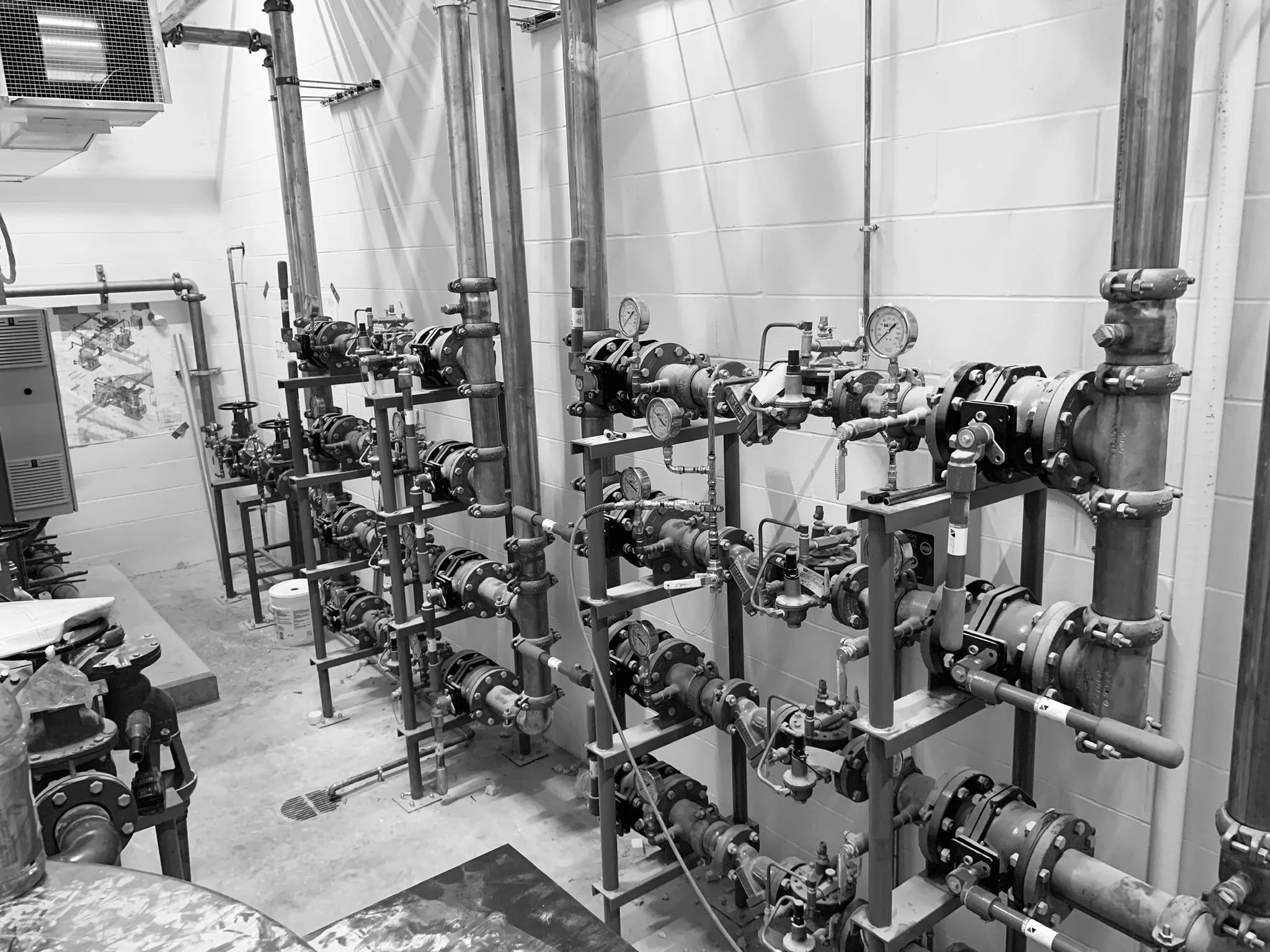 WhatsApp Image 2023-03-10 at 8.46.08 AM.jpeg