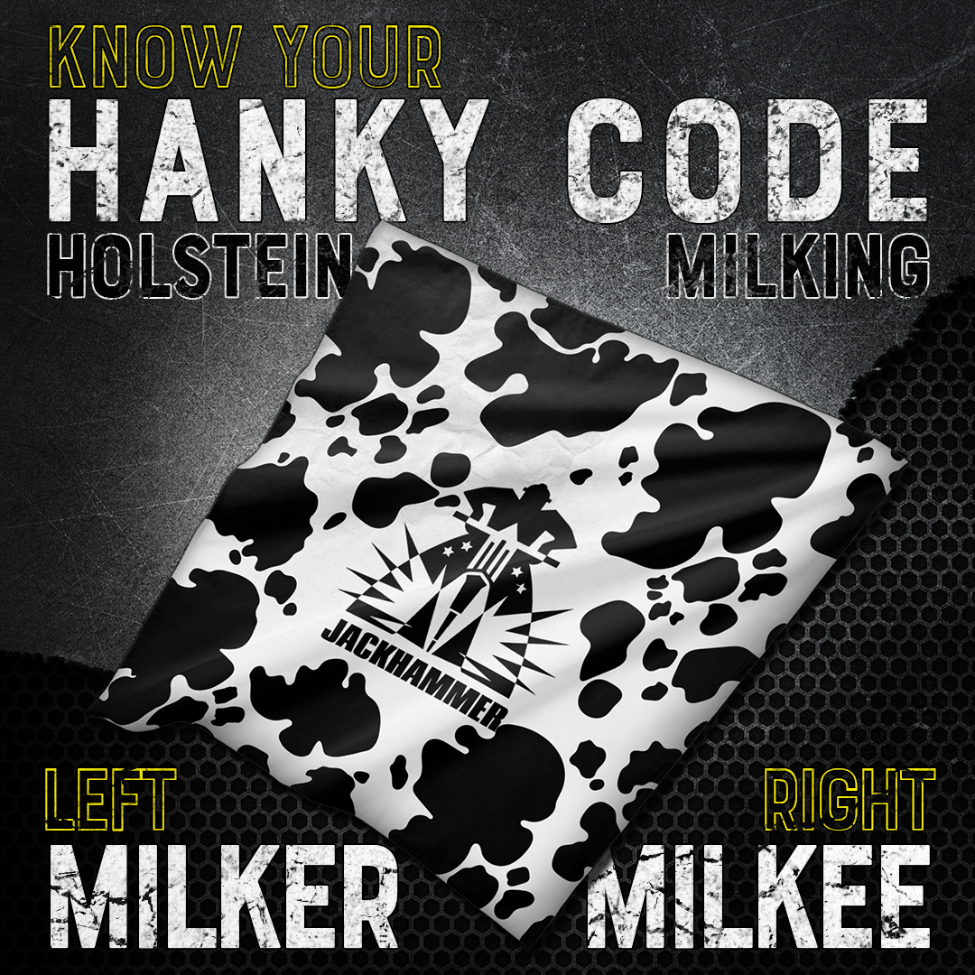 Holstein Hanky Code