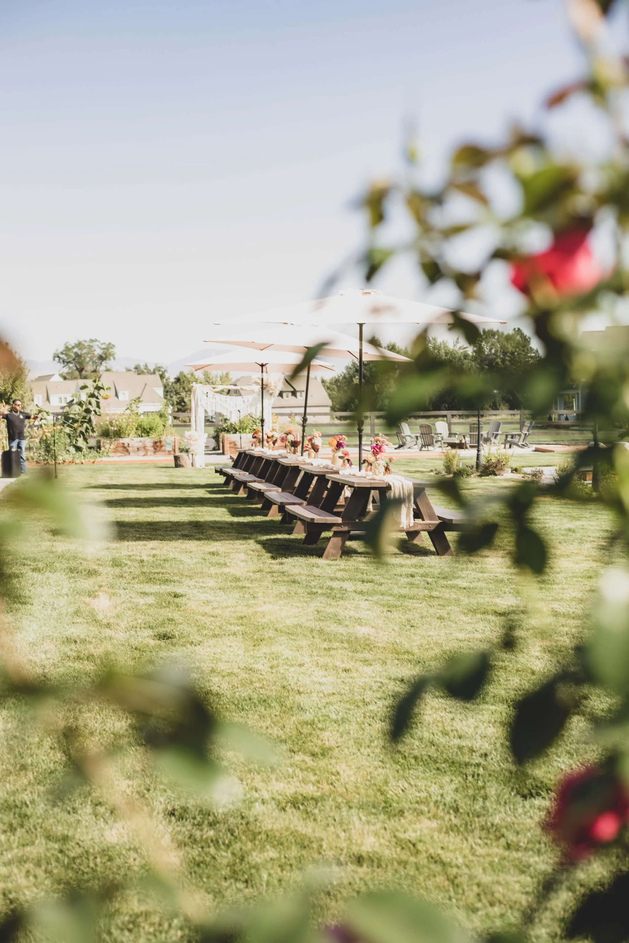 eagleid_backyard _wedding_-04.jpg