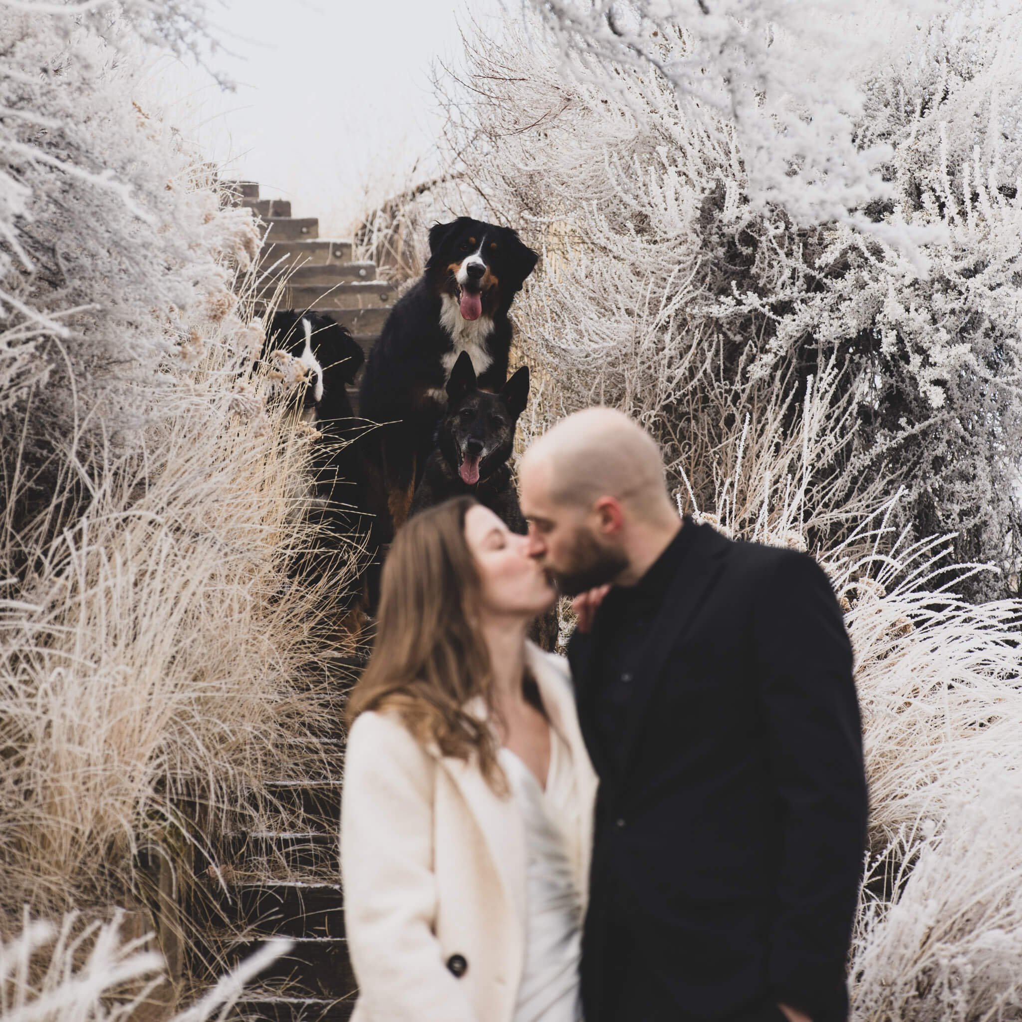 boise_id_capitol_elopement-04.jpg