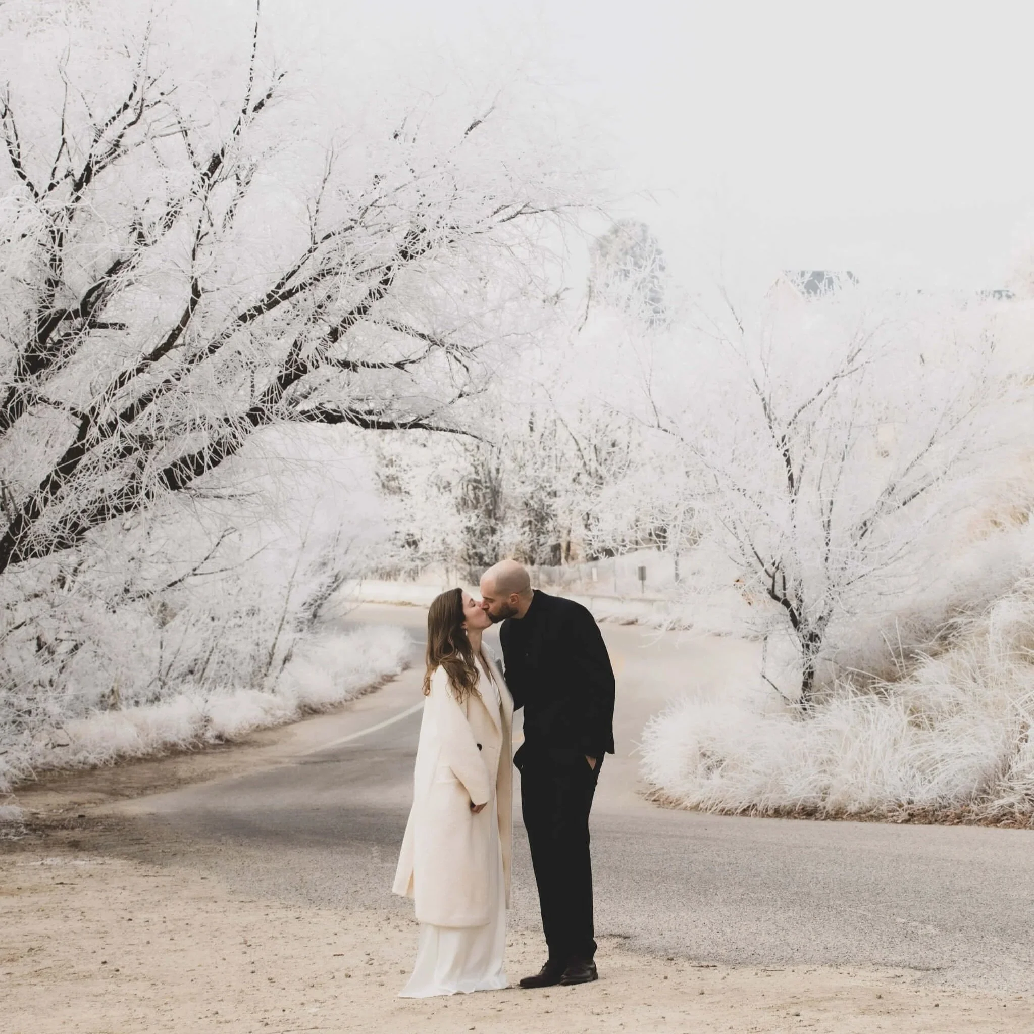 Idaho State Capitol Elopement