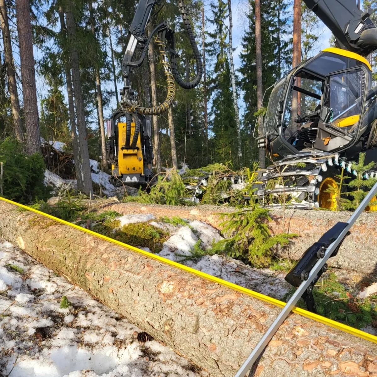 Kev&auml;&auml;n viimeisi&auml; tarkastusmittauksia. ☀️📊🗒
#metsaraikuu
#savonlinna
#scorpionking
#tarkastusmittaus