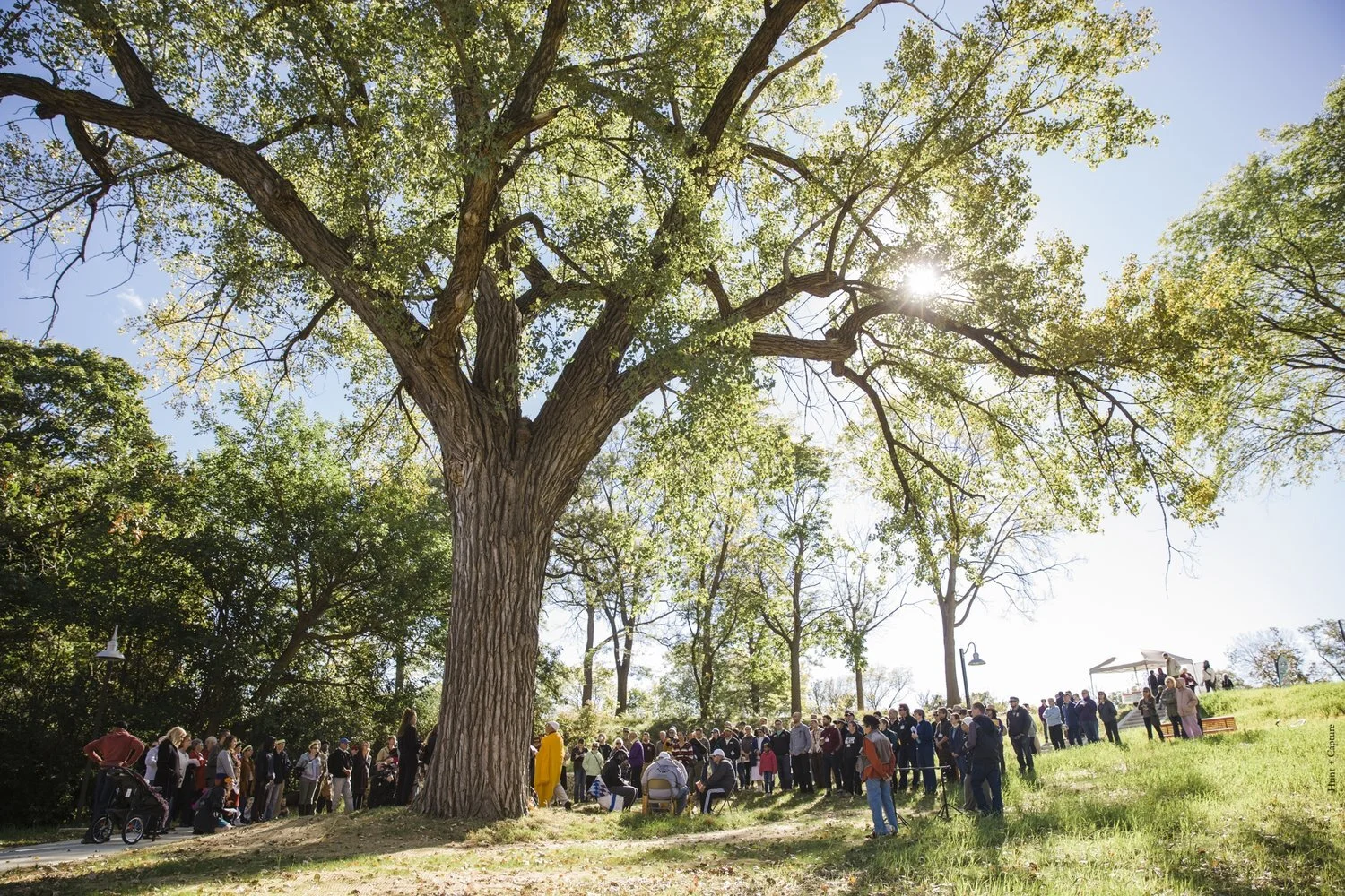 Uplifting Black Environmentalists in Mni Sota