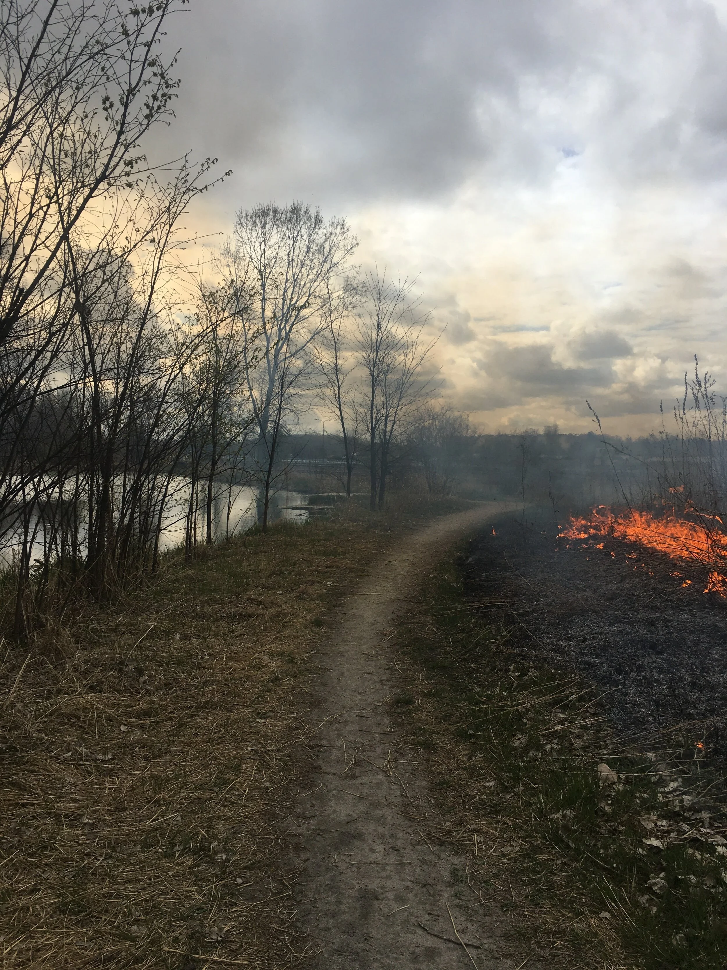 Planting Moon in a Warming Climate