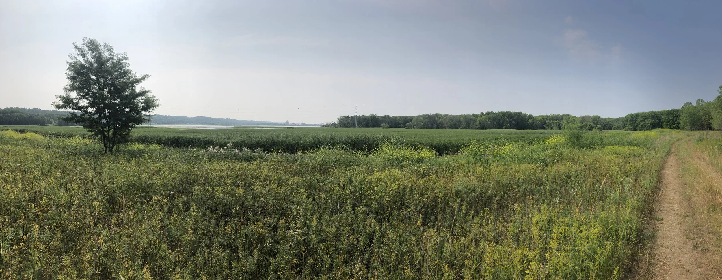 Pollution at Čhokáŋ Taŋka - Pig's Eye Regional Park