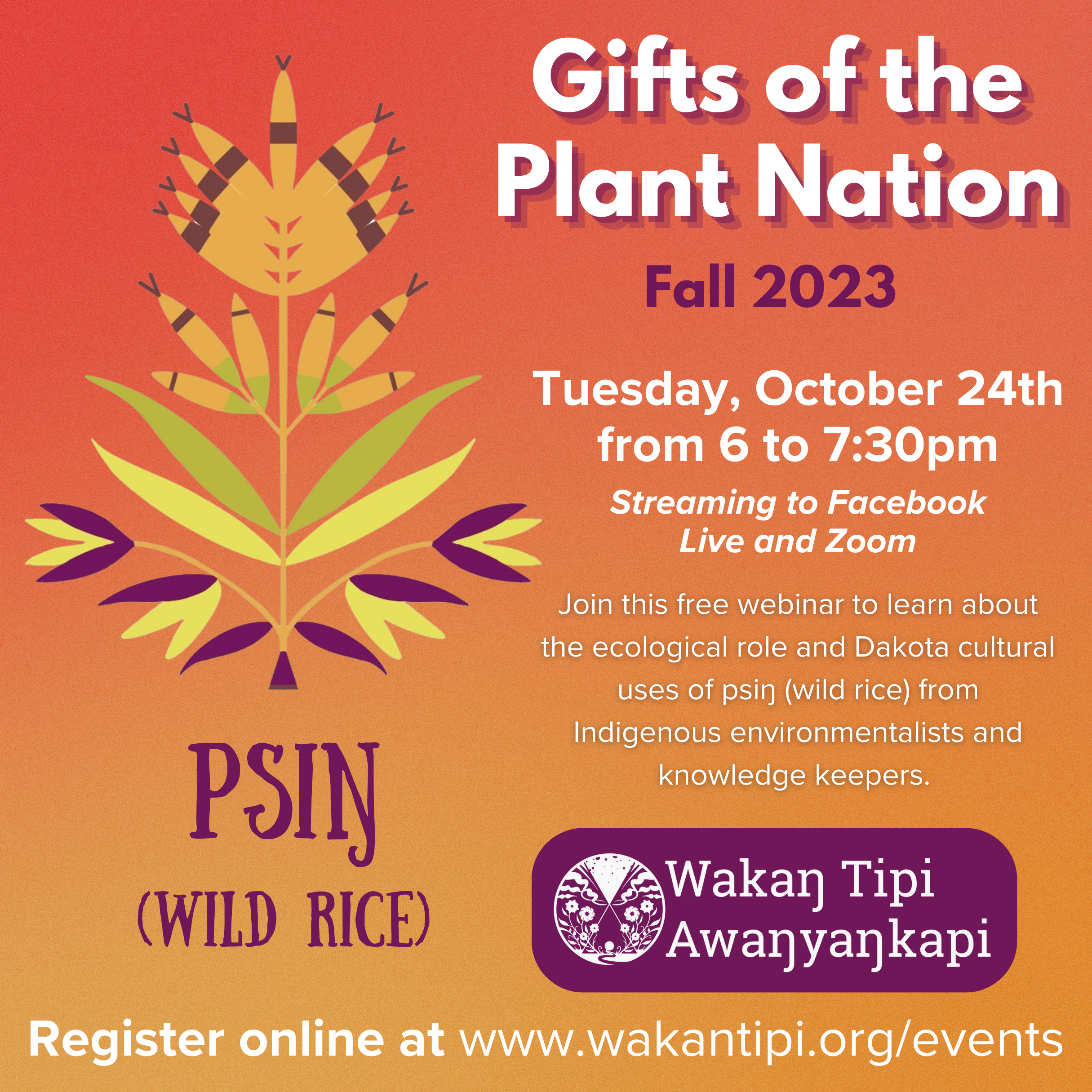 Gifts of the Plant Nation Wild Rice — Wakan Tipi Awanyankapi