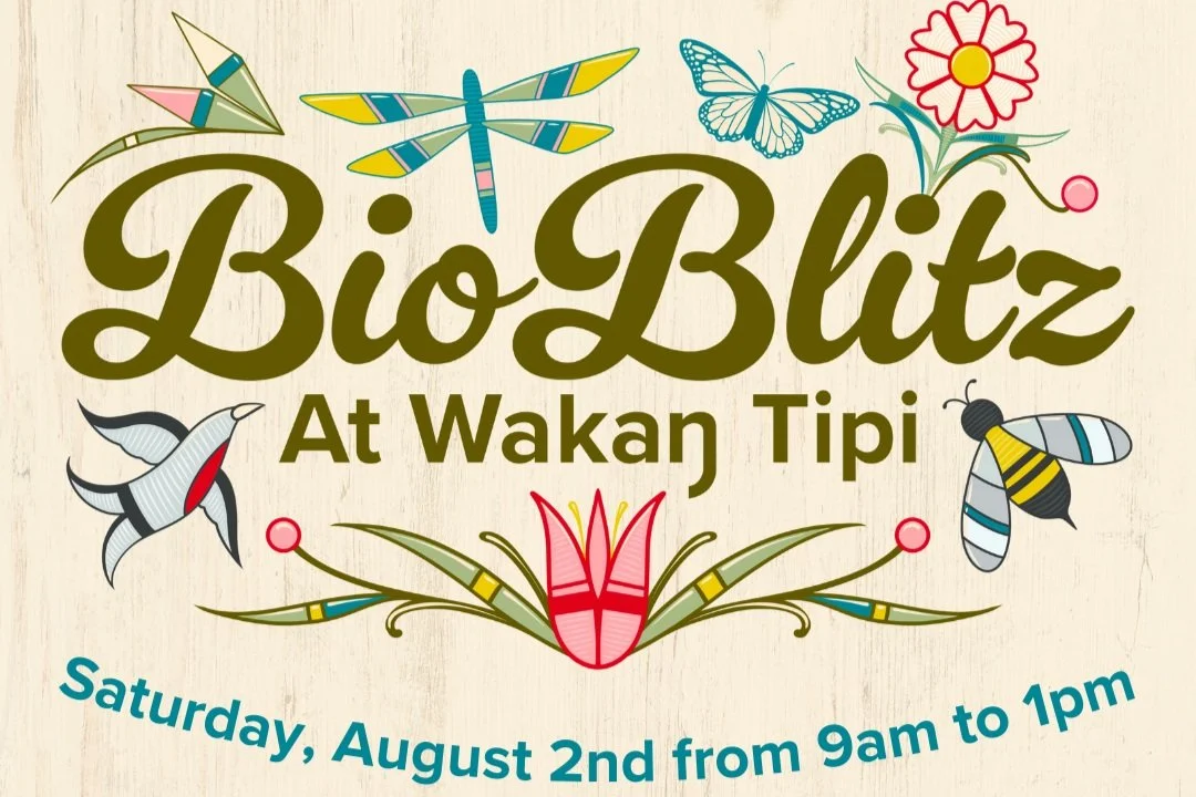 BioBlitz at Waḳaƞ Ṭípi