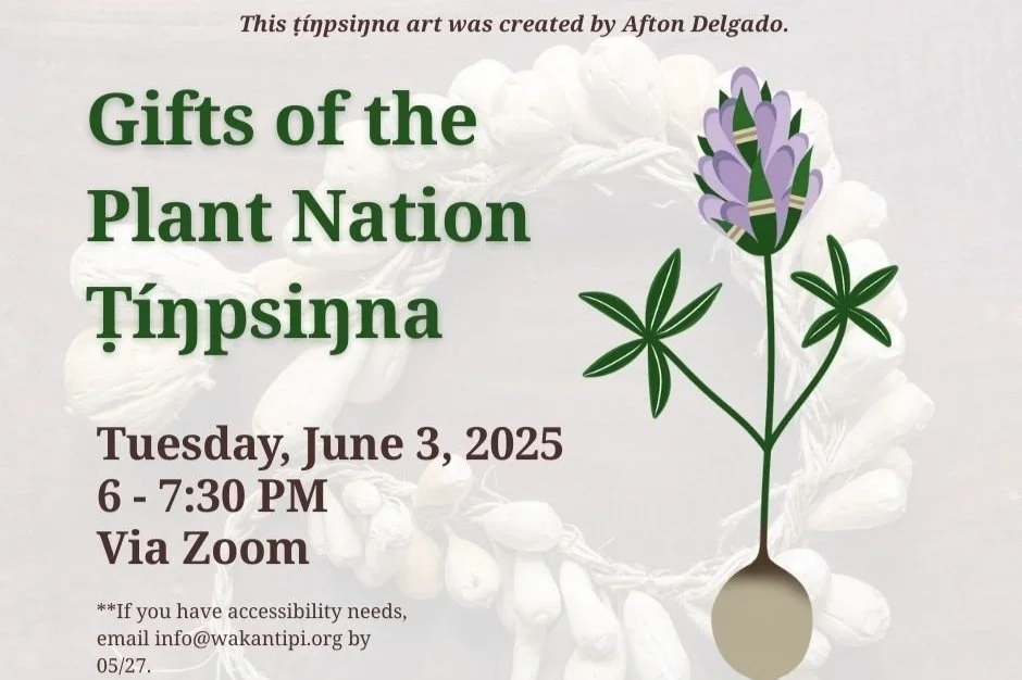 Gifts of the Plant Nation: Tíŋpsiŋna
