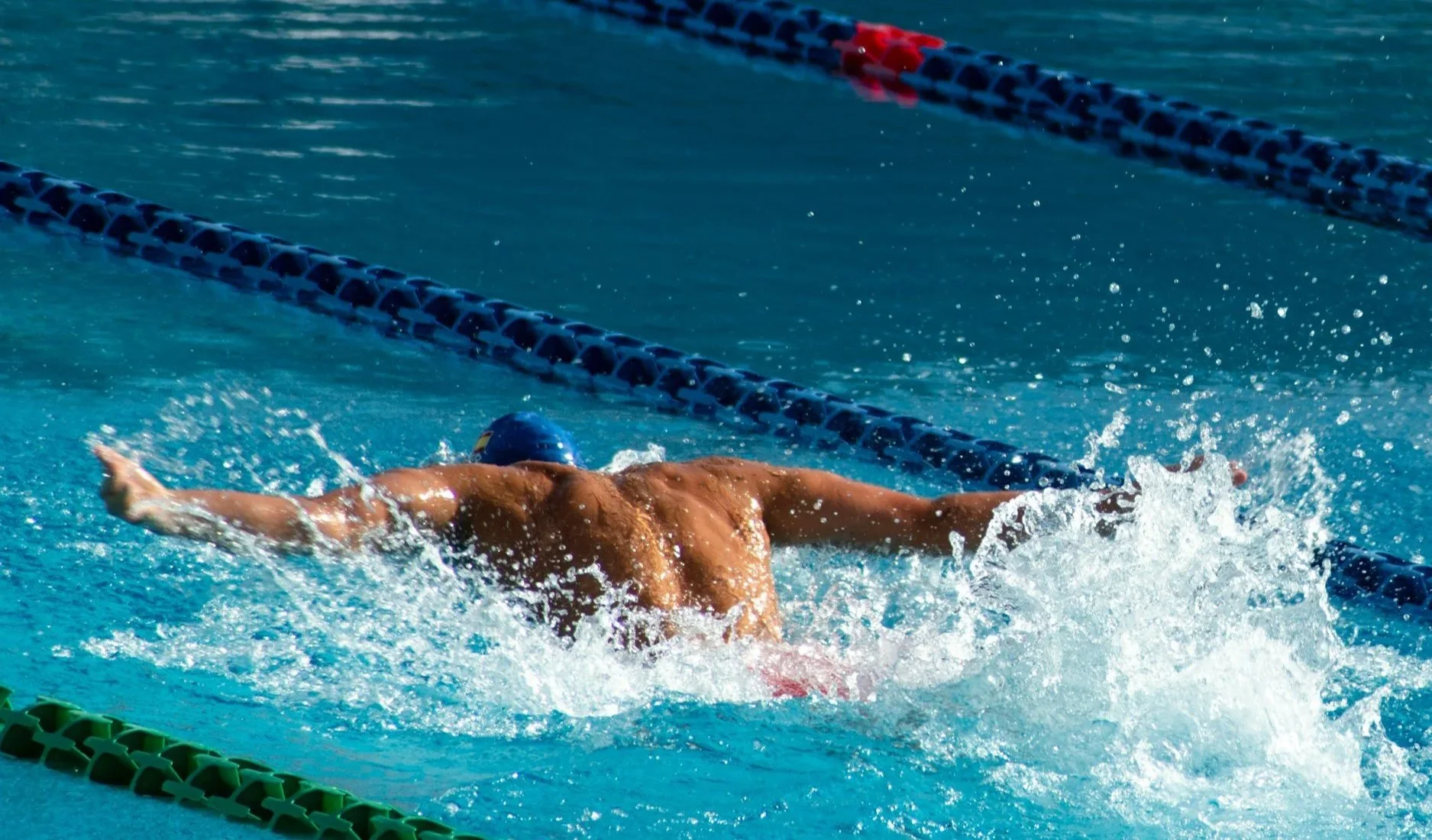 Swimmer in doing laps in pool