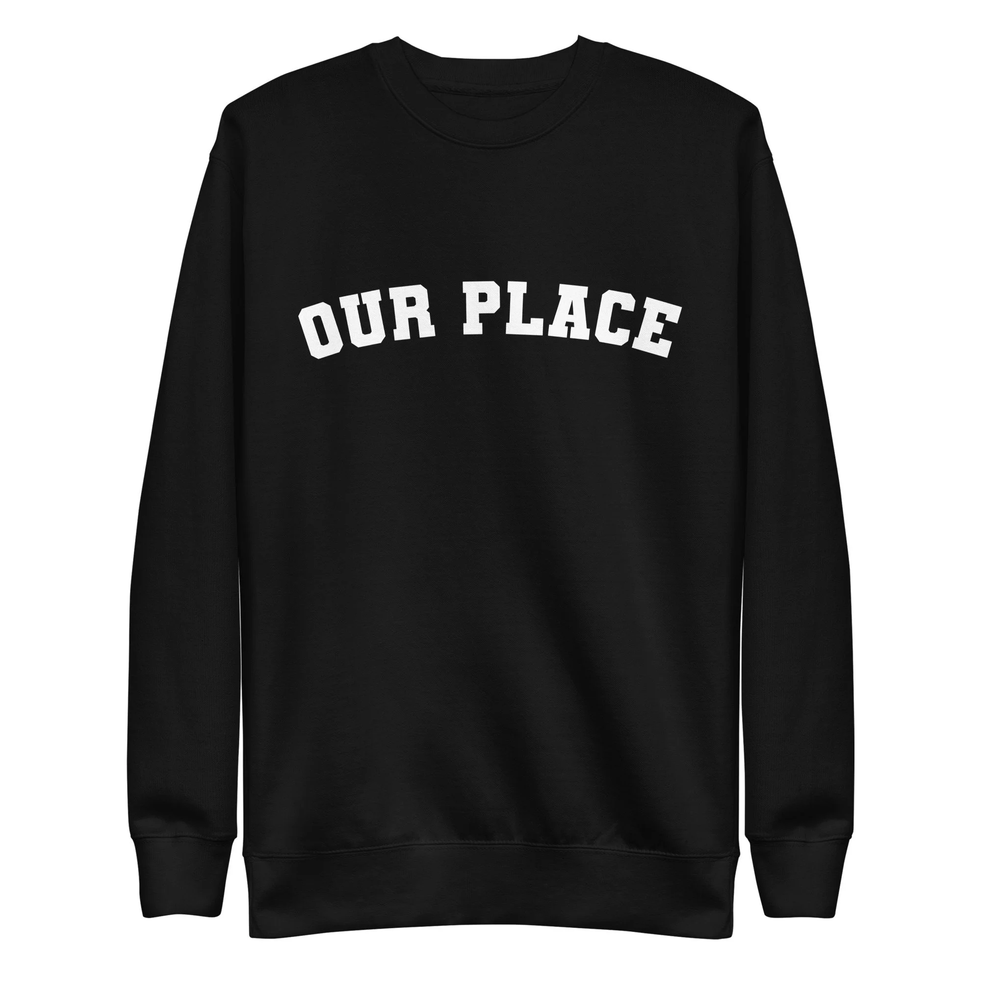 unisex-premium-sweatshirt-black-front-677c3b9ad958d.jpg