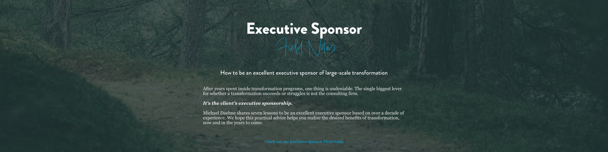 Practical tips on how to be an excellent executive sponsor of large-scale transformation