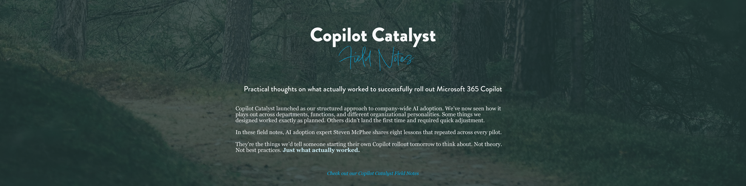 Copilot Catalyst Field Notes provide practical thoughts on adopting enterprise LLMs