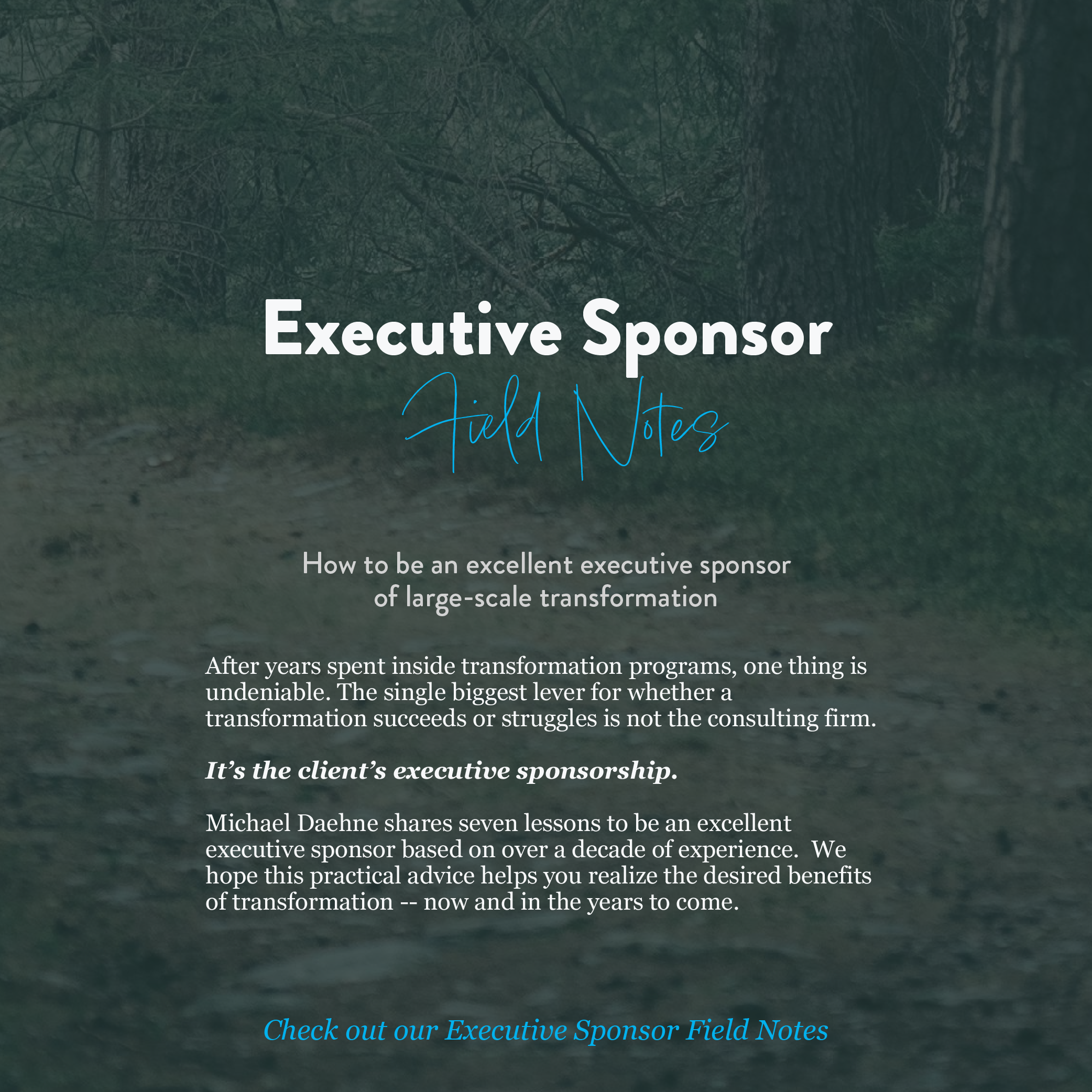 Practical tips on how to be an excellent executive sponsor of large-scale transformation