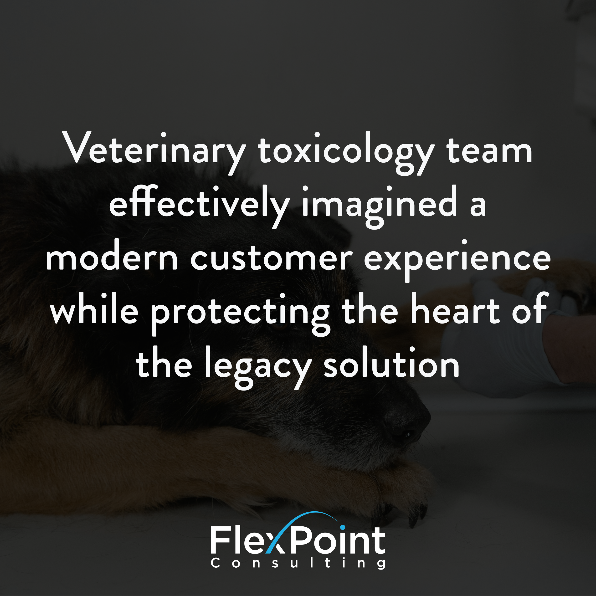 Veterinary Toxicologists Select Case Management Solution for the Future