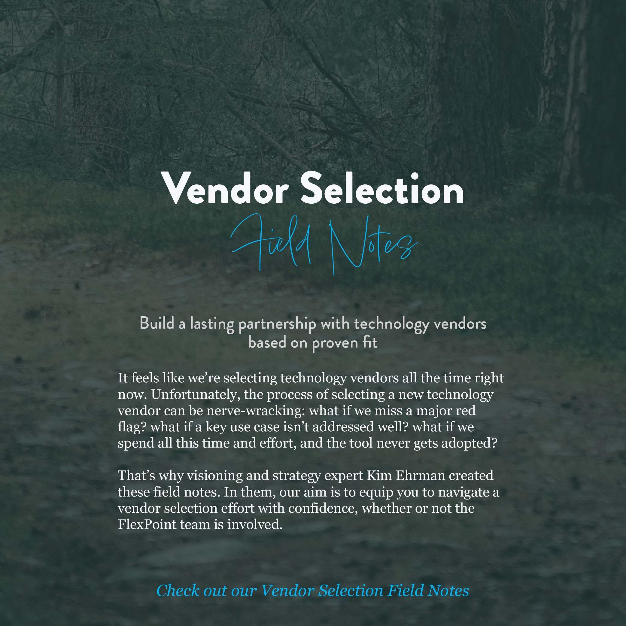 Build a lasting partnership with technology vendors based on proven fit