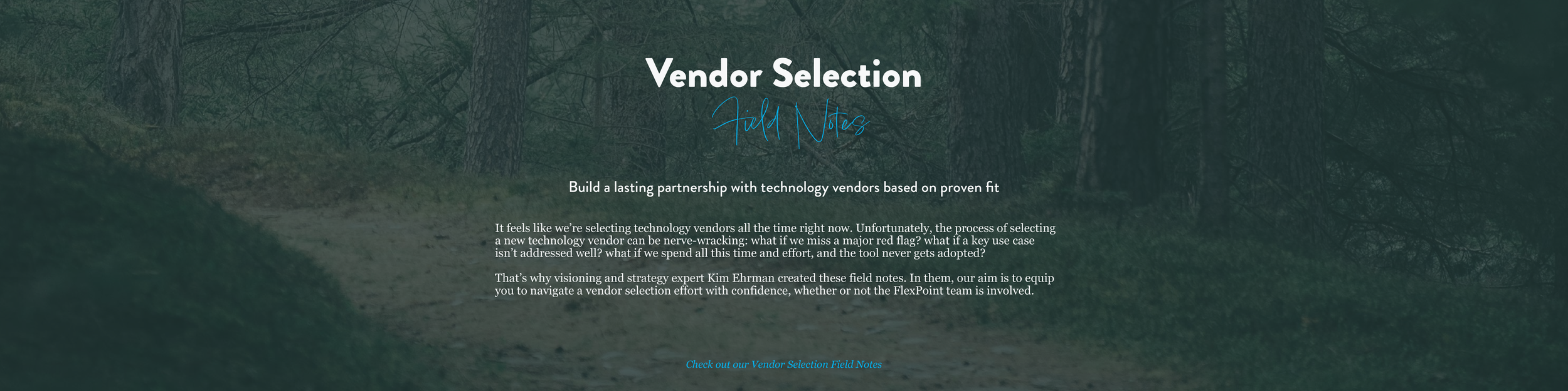 Build a lasting partnership with technology vendors based on proven fit