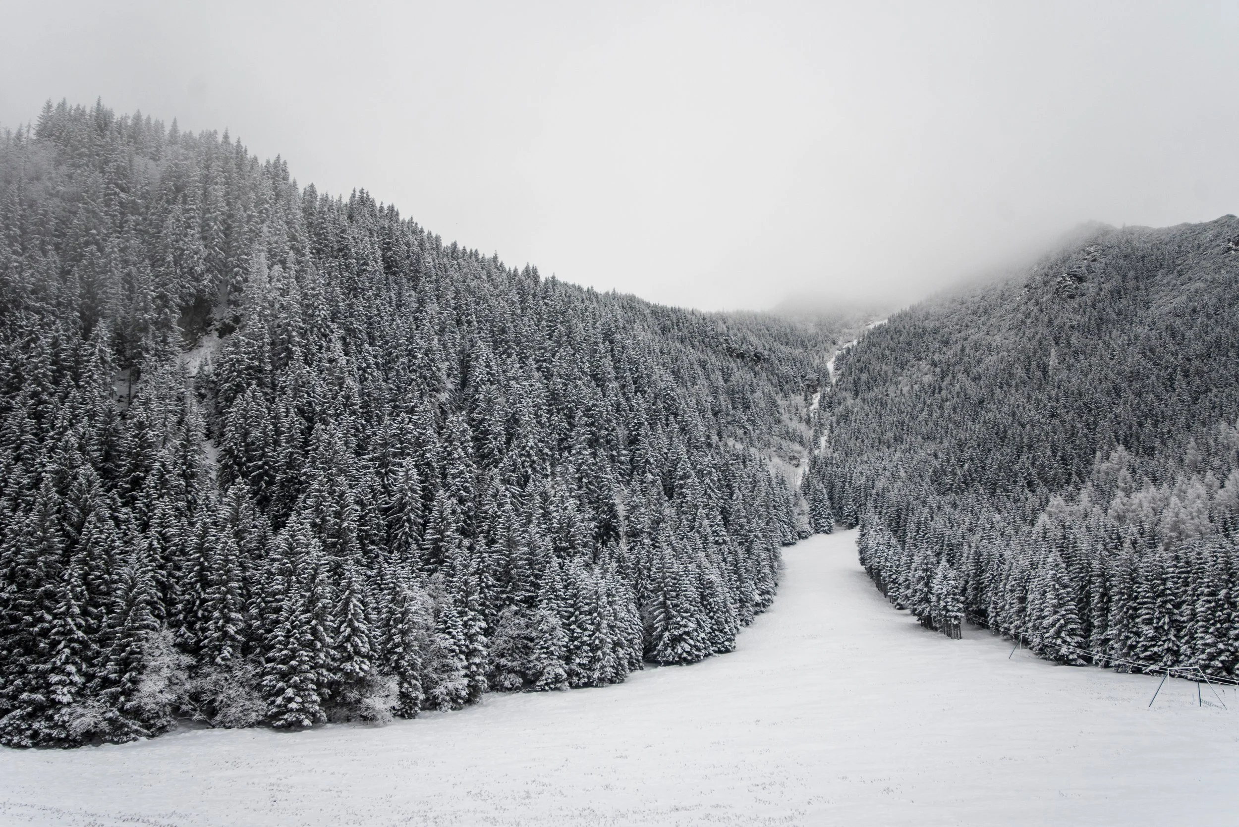 2025: After All That, A Historic Market Year