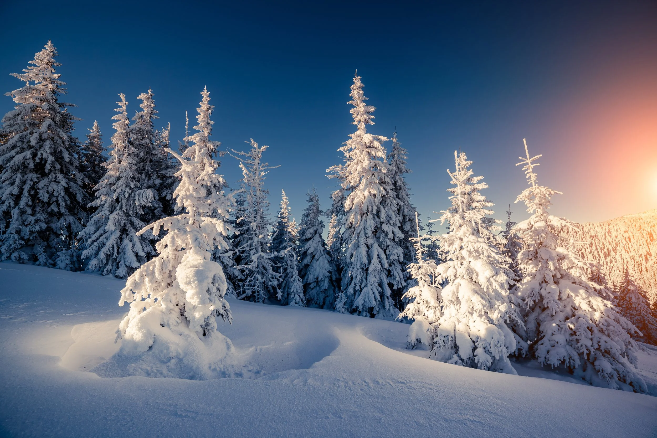 Geopolitics, the Fed and Precious Metals