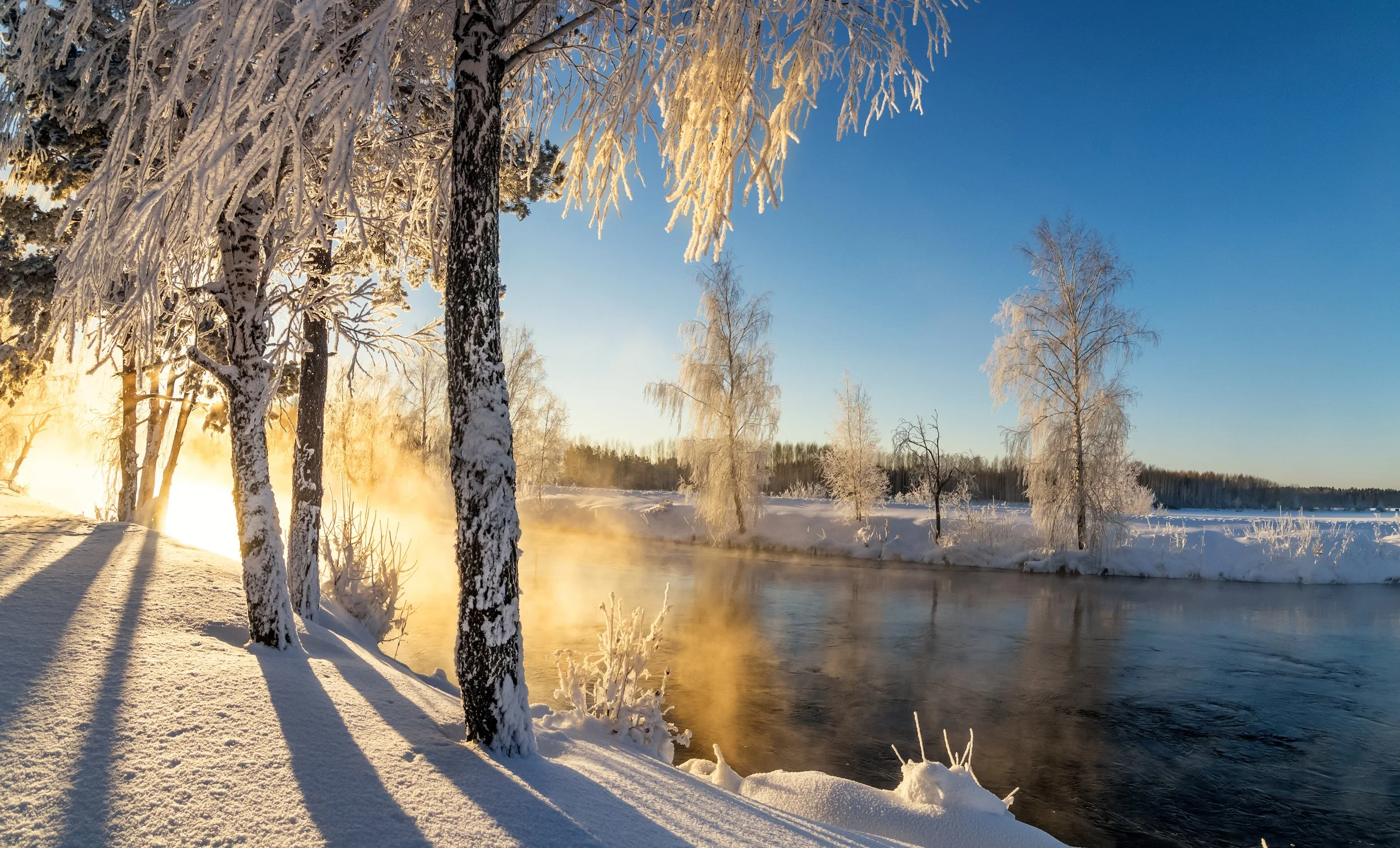 Supreme Court Tariff Ruling, AI, and Iran