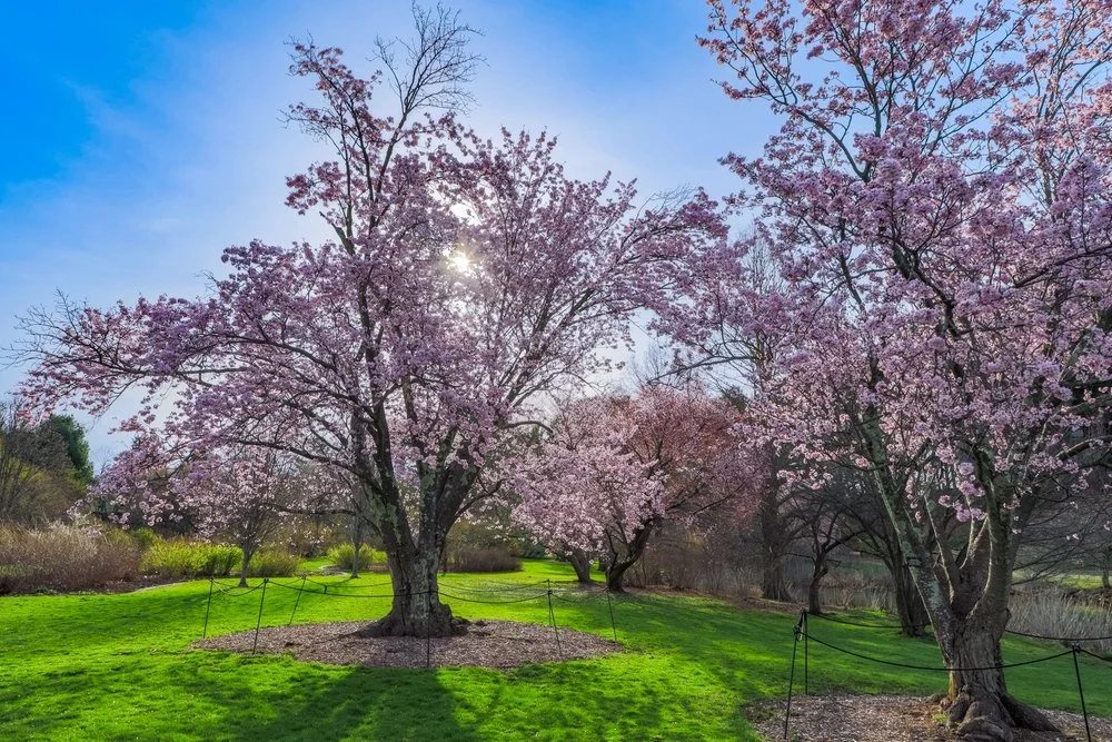 Q1 is Done: Geopolitics, Oil, and Market Pullbacks