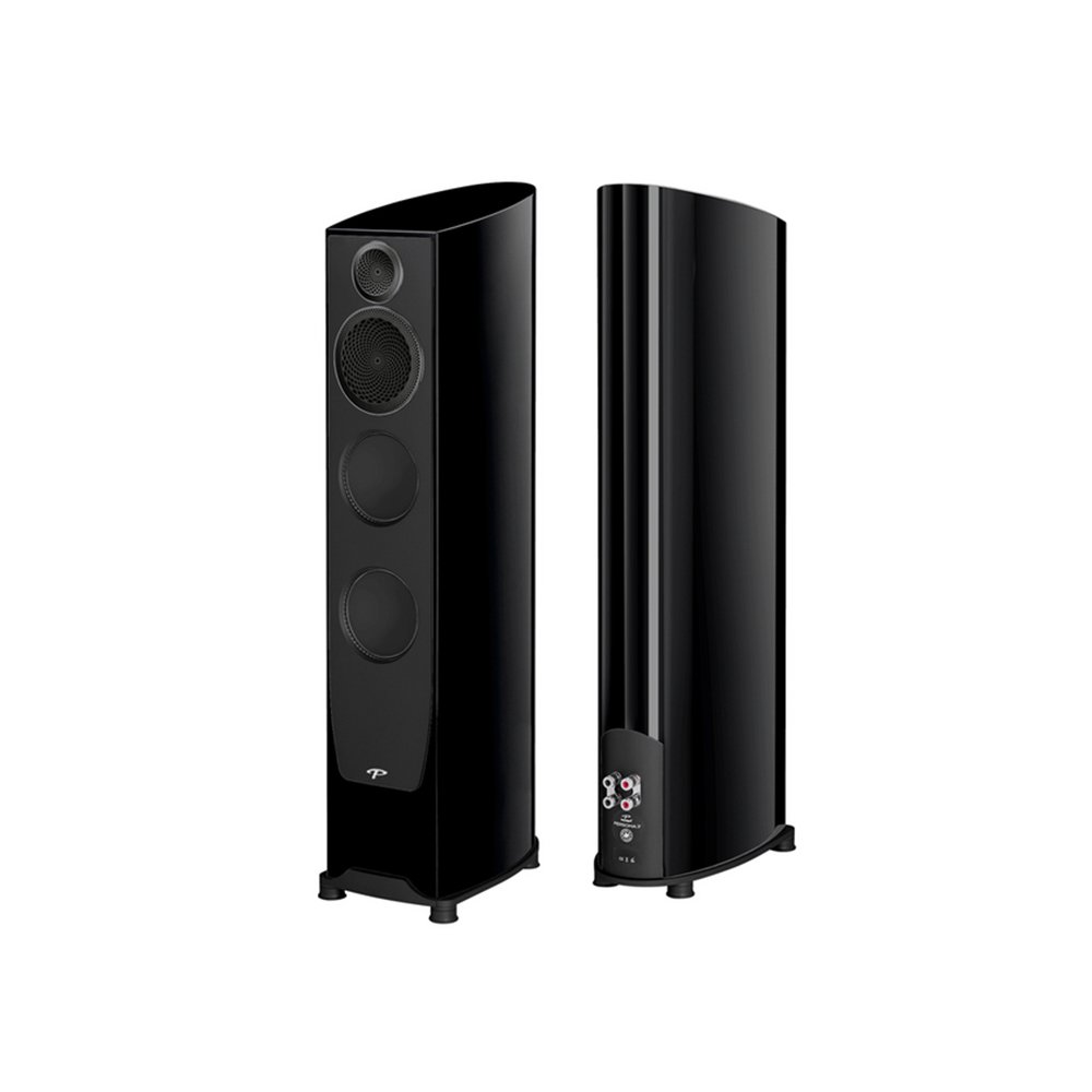 3fcarbonlblk_600x.jpg